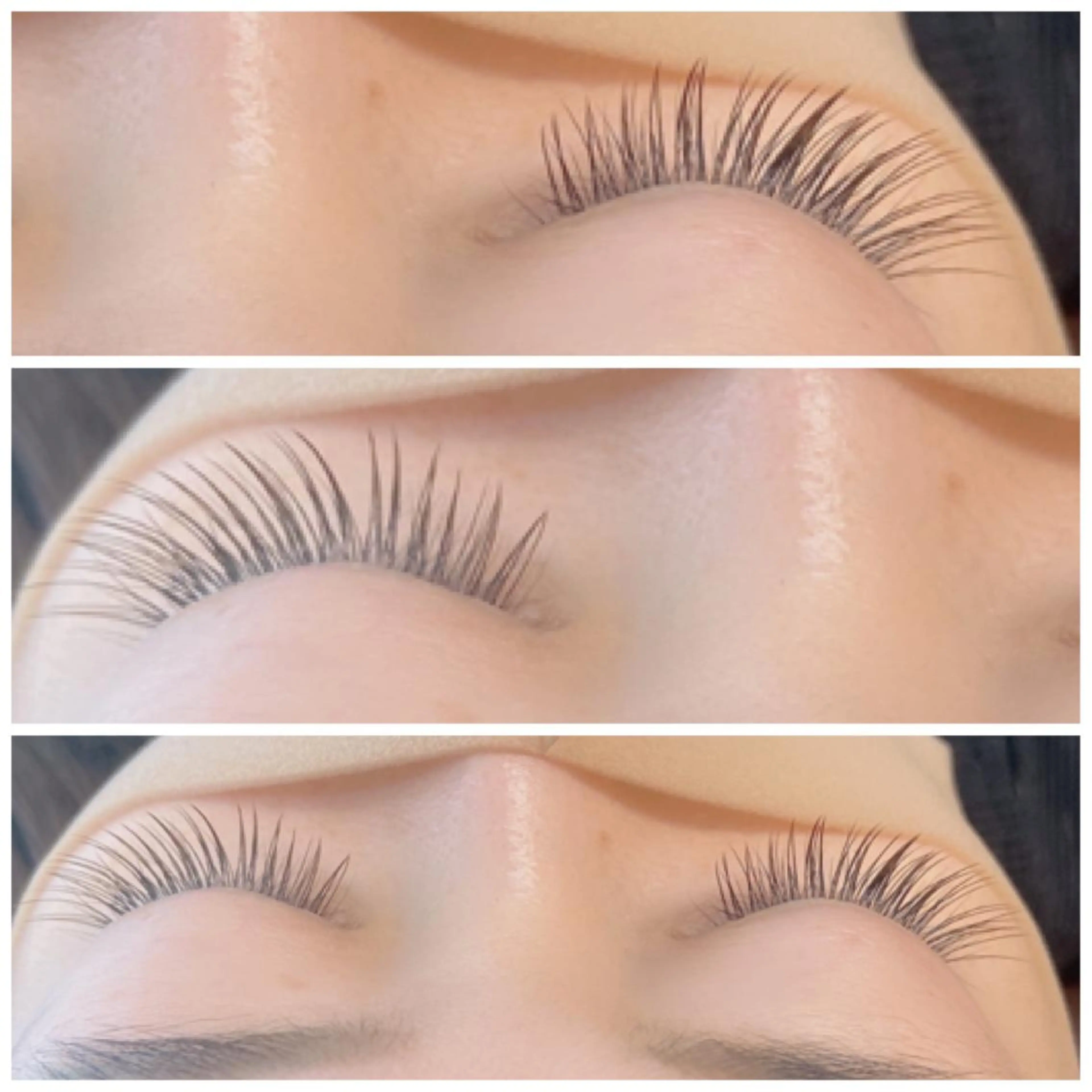 ãããšã¯ã»ããã ã«ã©ãŒãããšã¯ ãã©ããã©ãã·ã¥ éåœé¢šãããšã¯ ããªãžã§ã³ãã©ãã·ã¥ãªãã ãŸã€ãããŒã barro.1995æå±ã»ãªãŒããŒã¡ã€ããŸã€ã ïŒãŸãã.RIKAã®ãããšã¯ã»ããããã¶ã€ã³