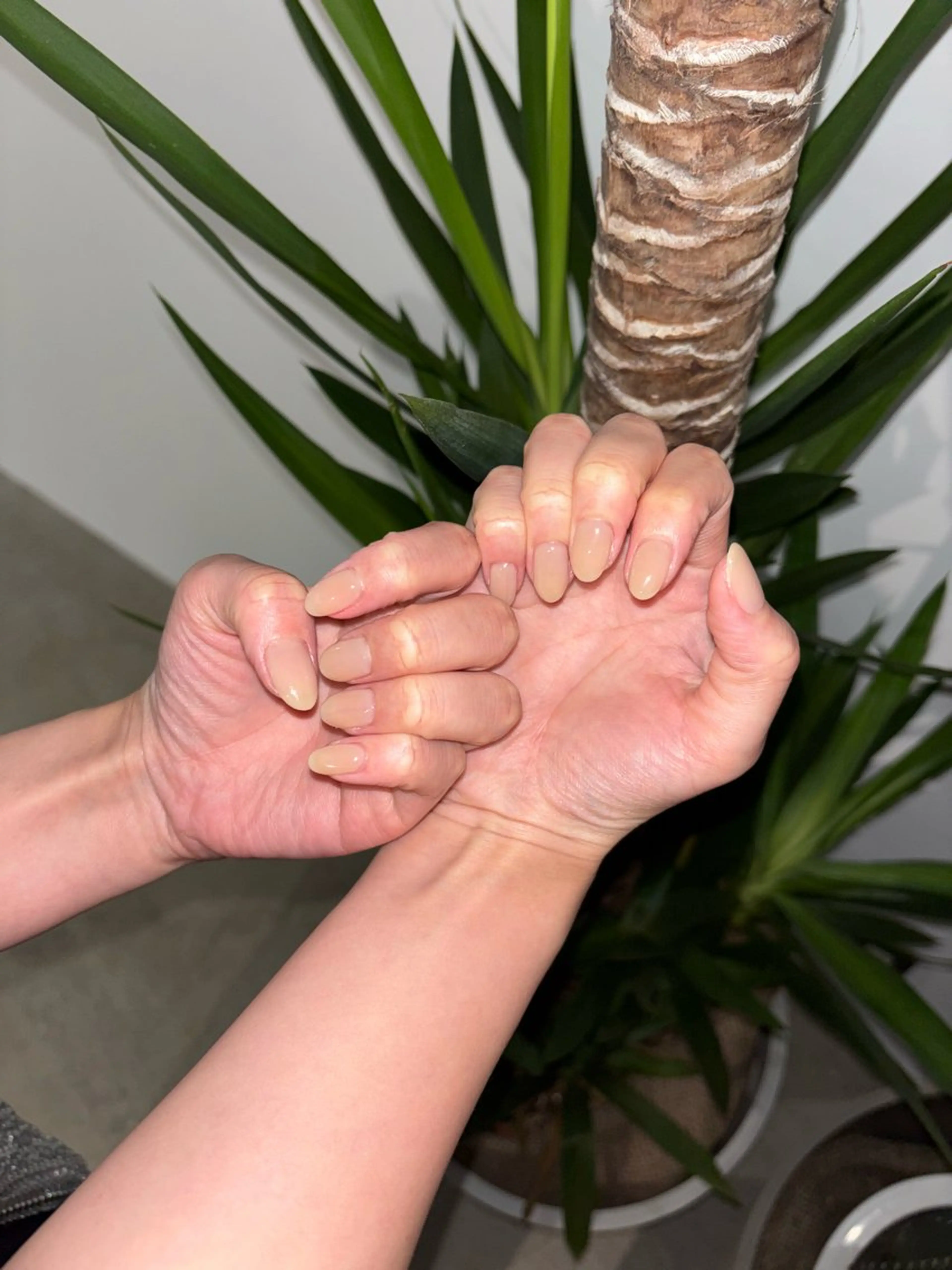 ネイル ワンカラーネイル Topcoat/ 下北沢nailのネイルデザイン