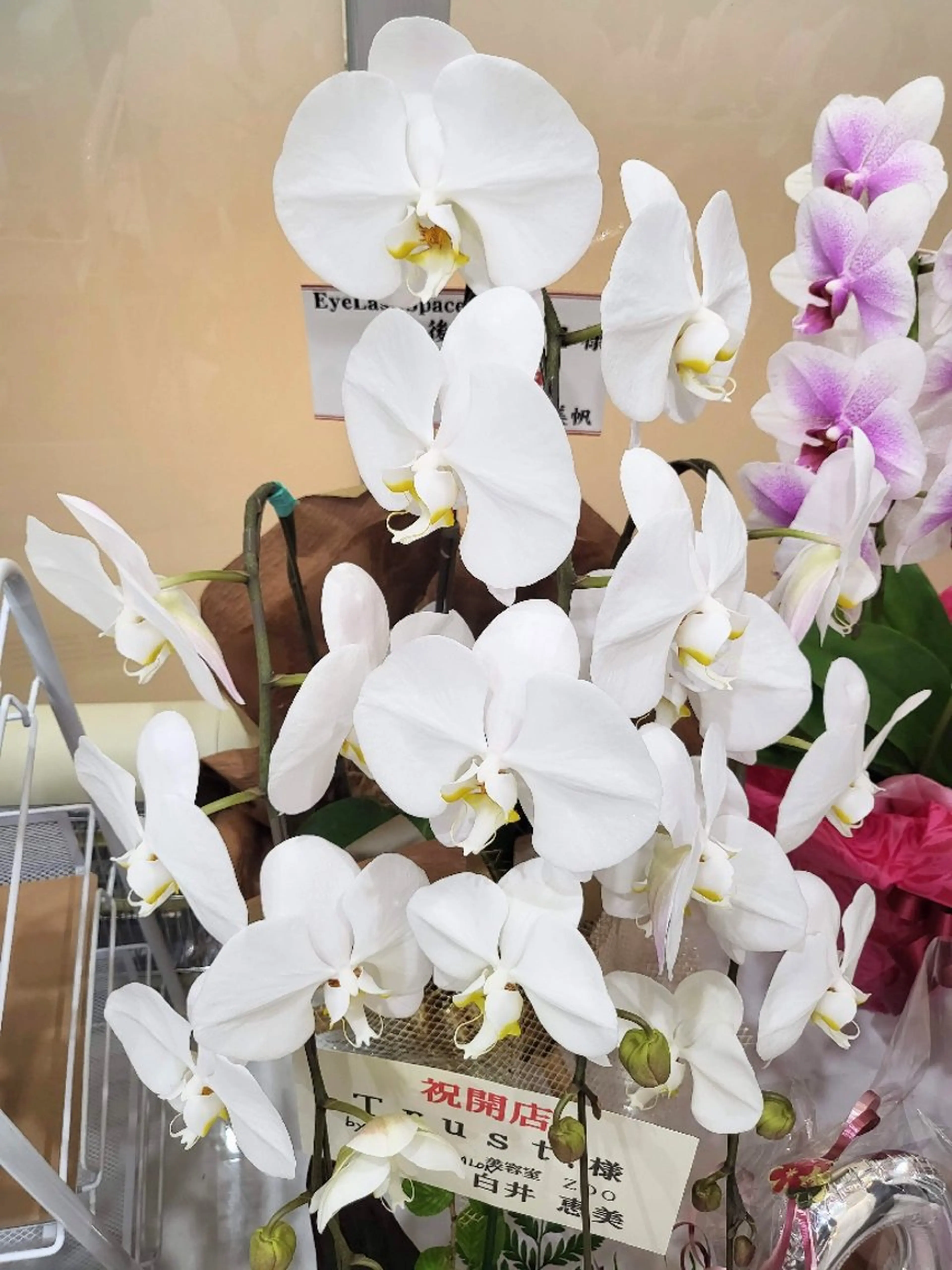 アイラッシュスペース トラスト川越のマツエク・マツパデザイン