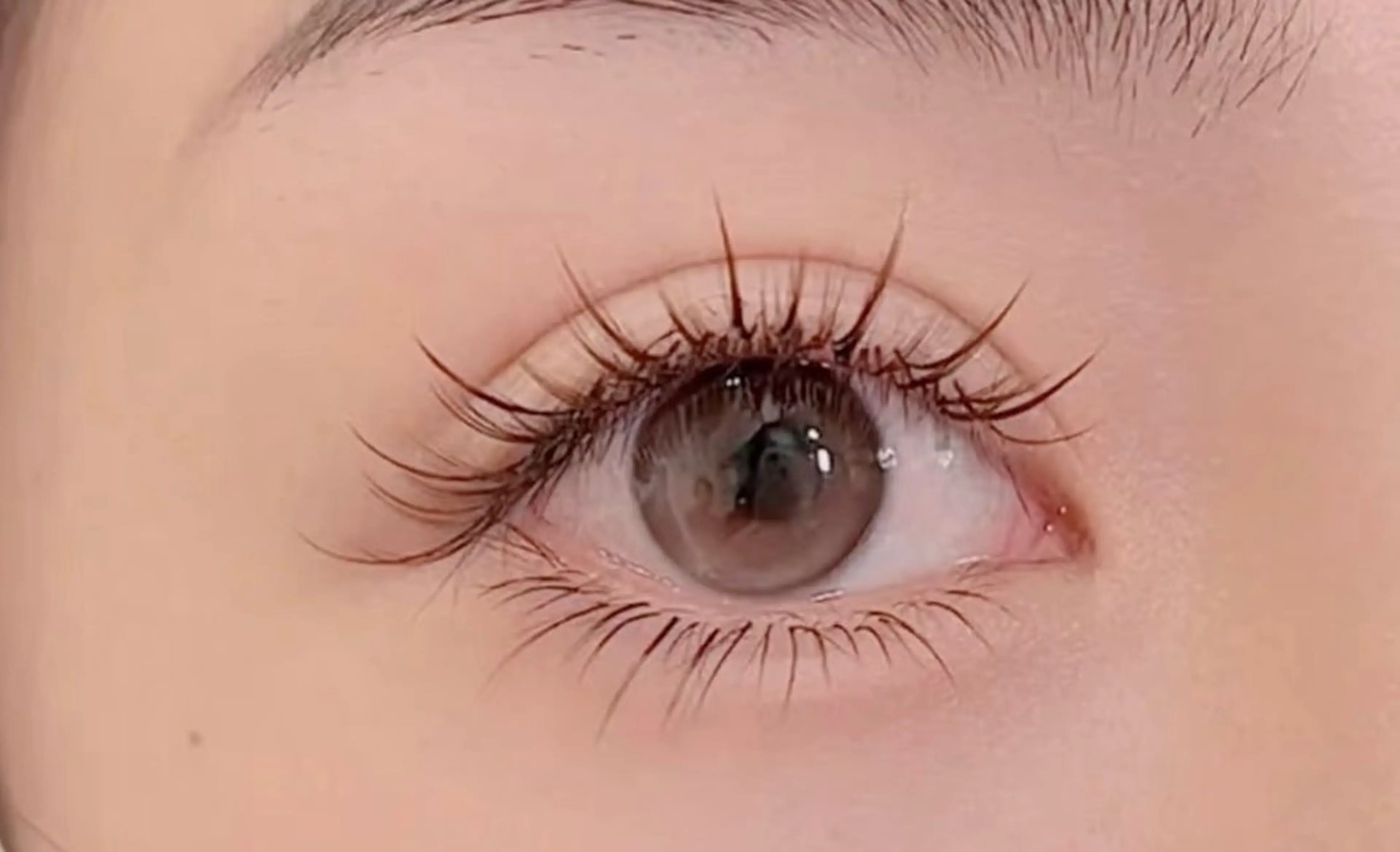 マツエク・マツパ 大人気🌸ran L ED専門店/パリエクのマツエク・マツパデザイン