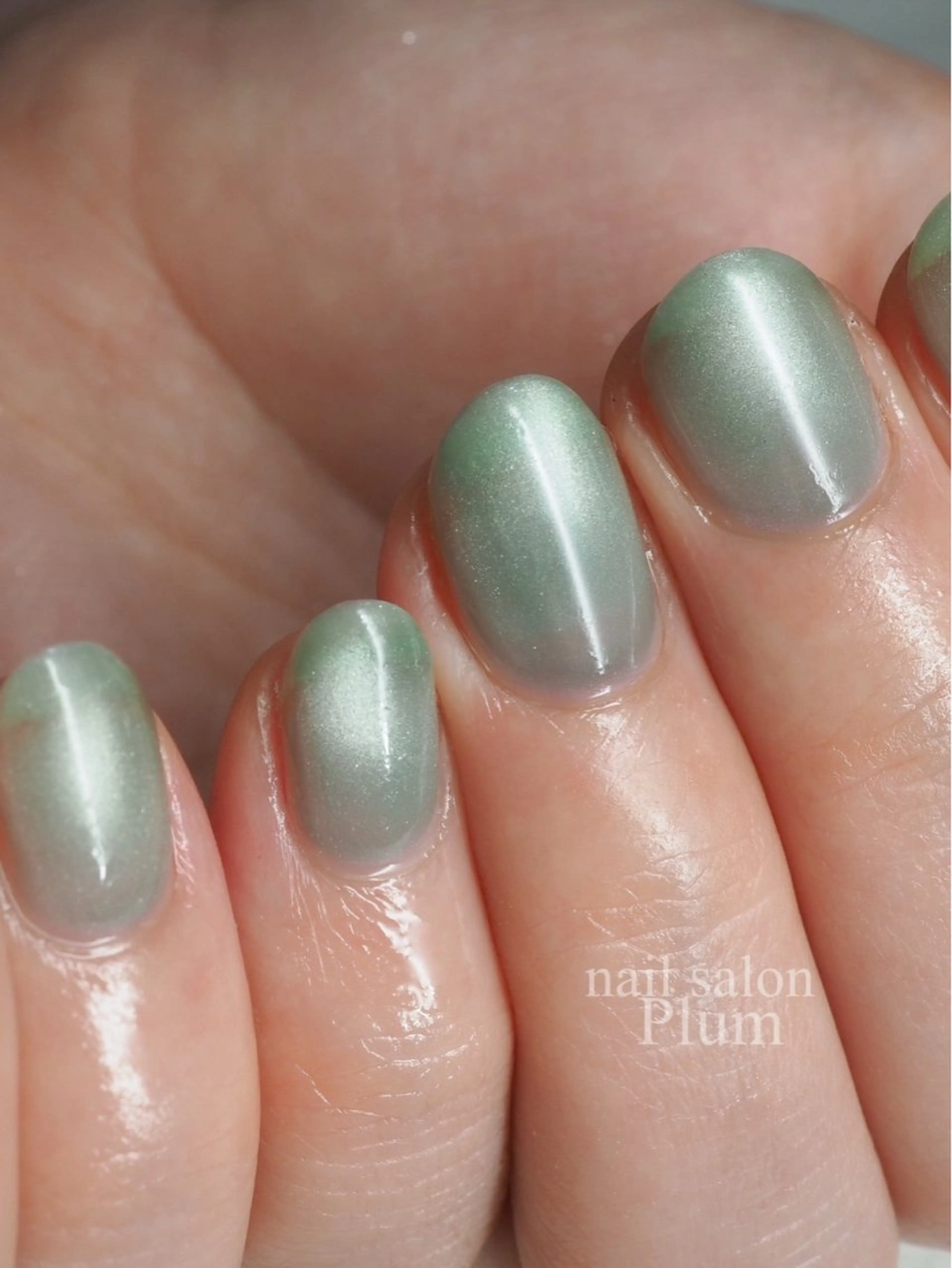 ネイル マグネットネイル ハンドネイル Plum Kanaのネイルデザイン