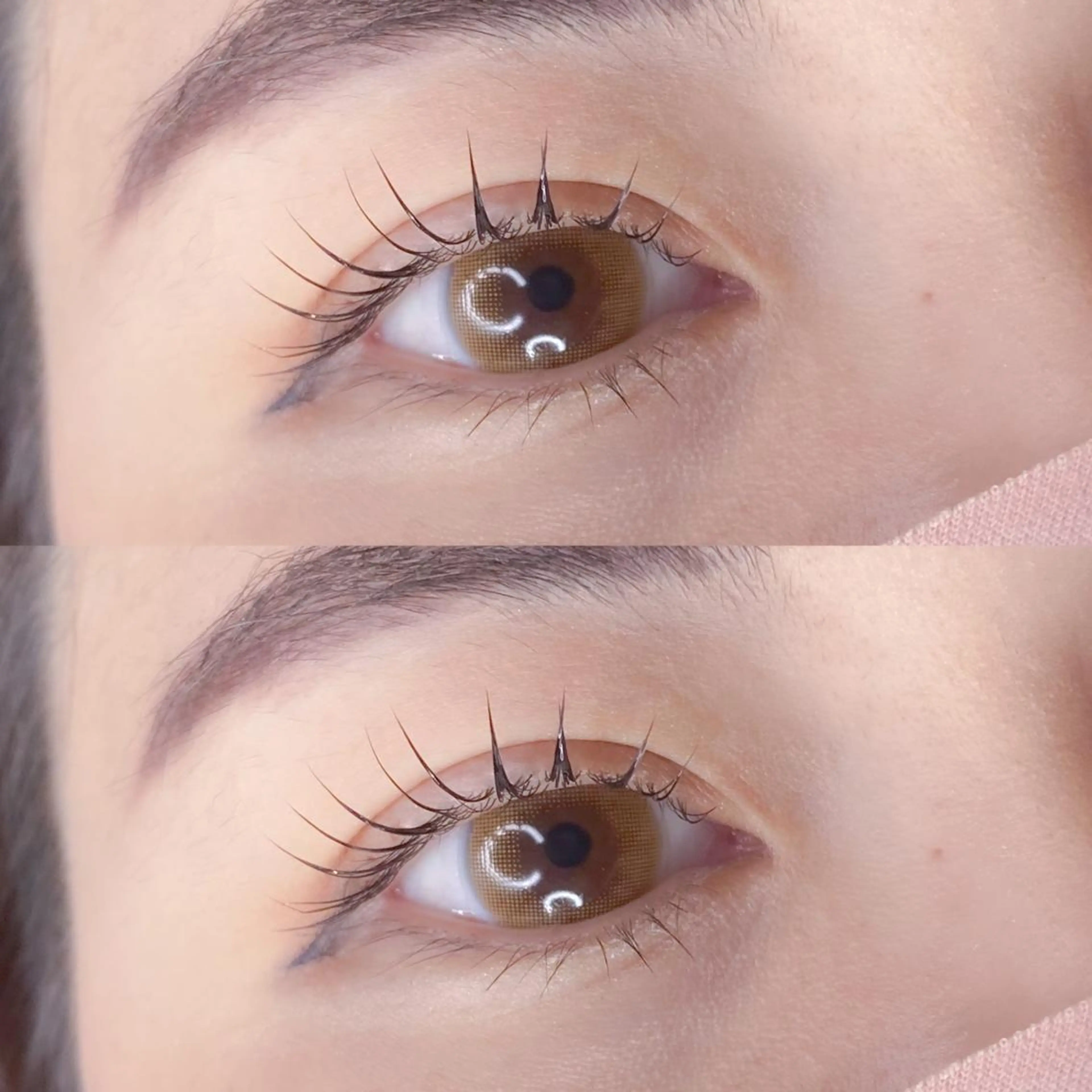 当日限定ゲリラクーポン🧡パリジェンヌorまつ毛パーマ上のみの写真