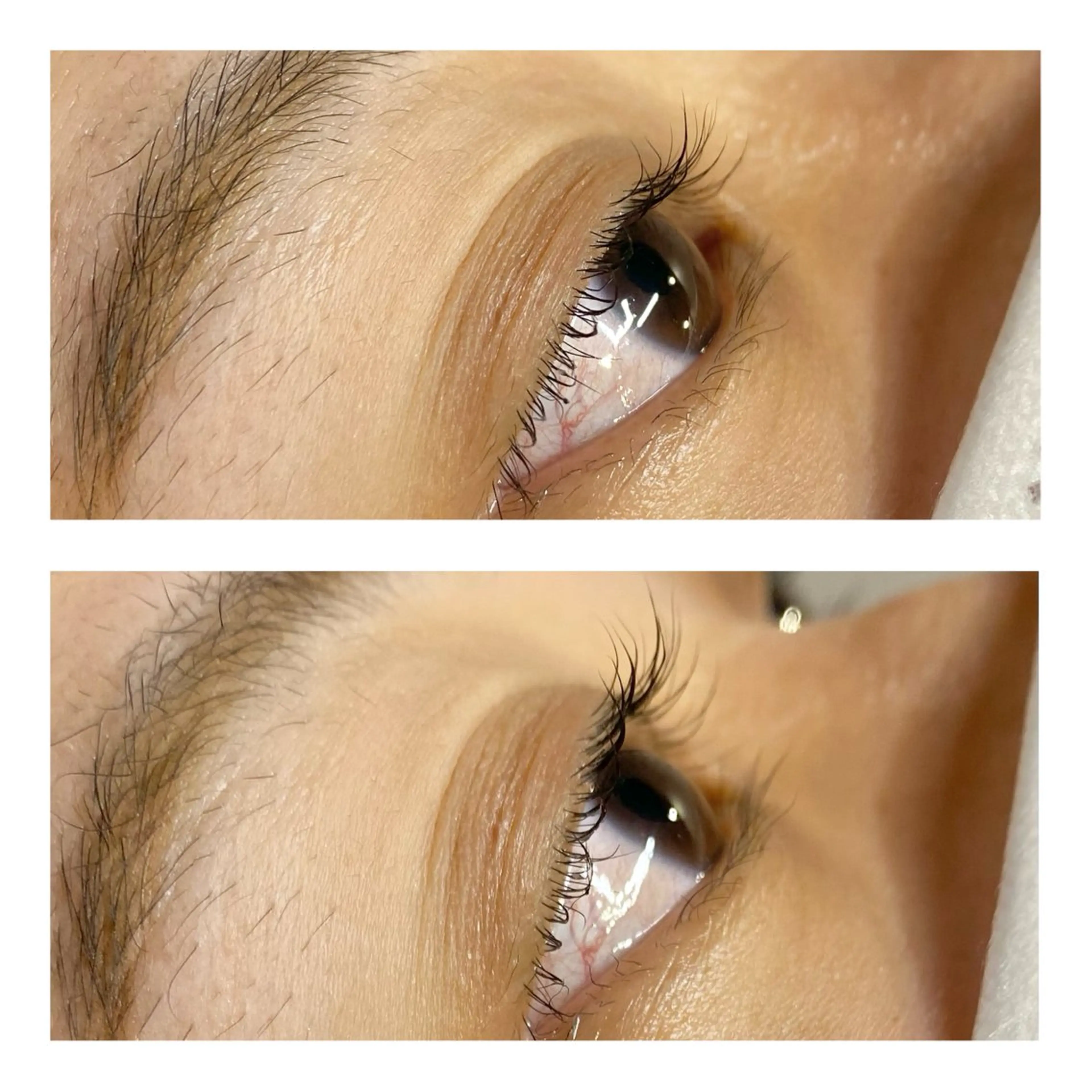 マツエク・マツパ マツパ オーガニックカラー/ 髪質改善/暗髪/ボブのヘアスタイル