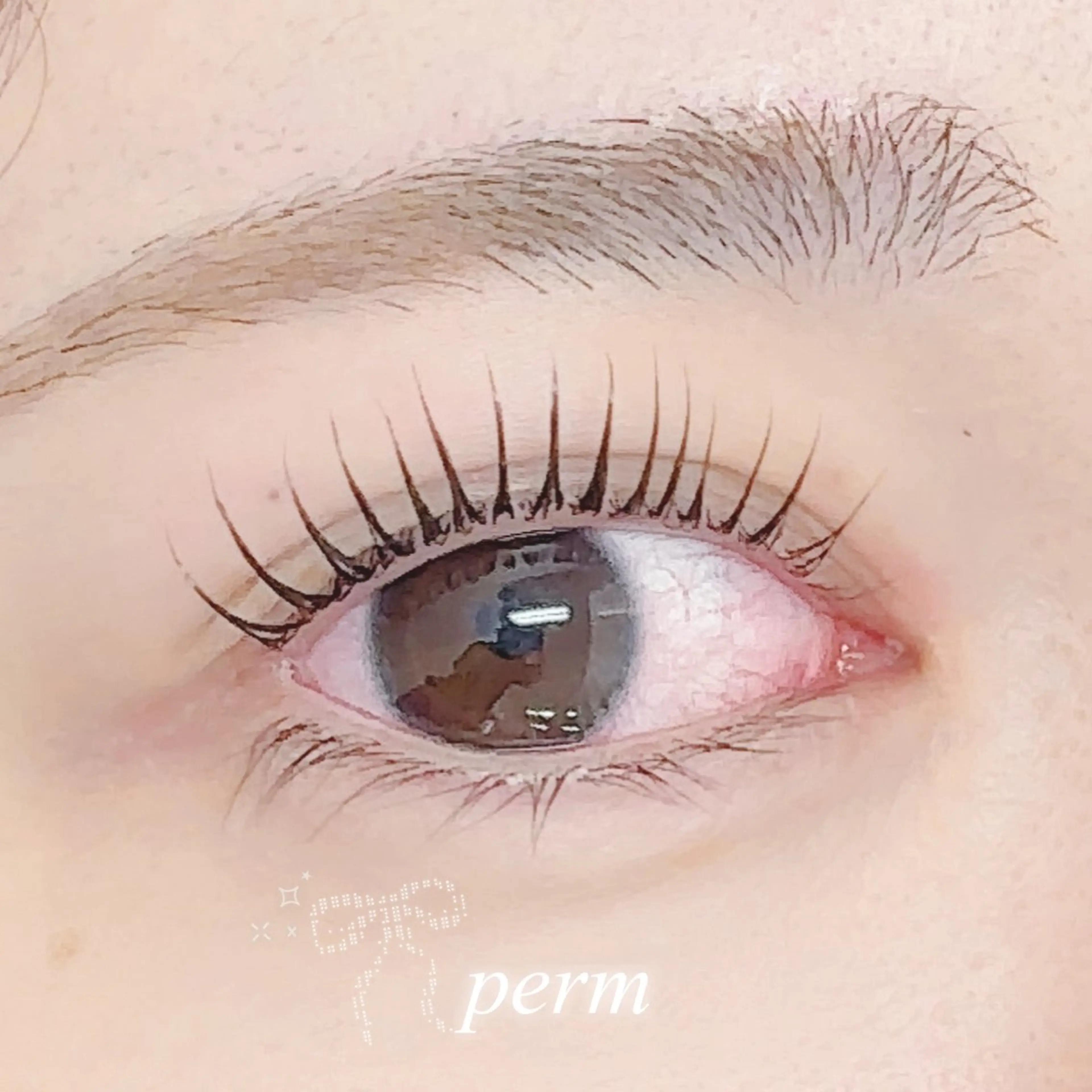 マツエク・マツパ alicetokyo 🦋宮葉🦋のマツエク・マツパデザイン