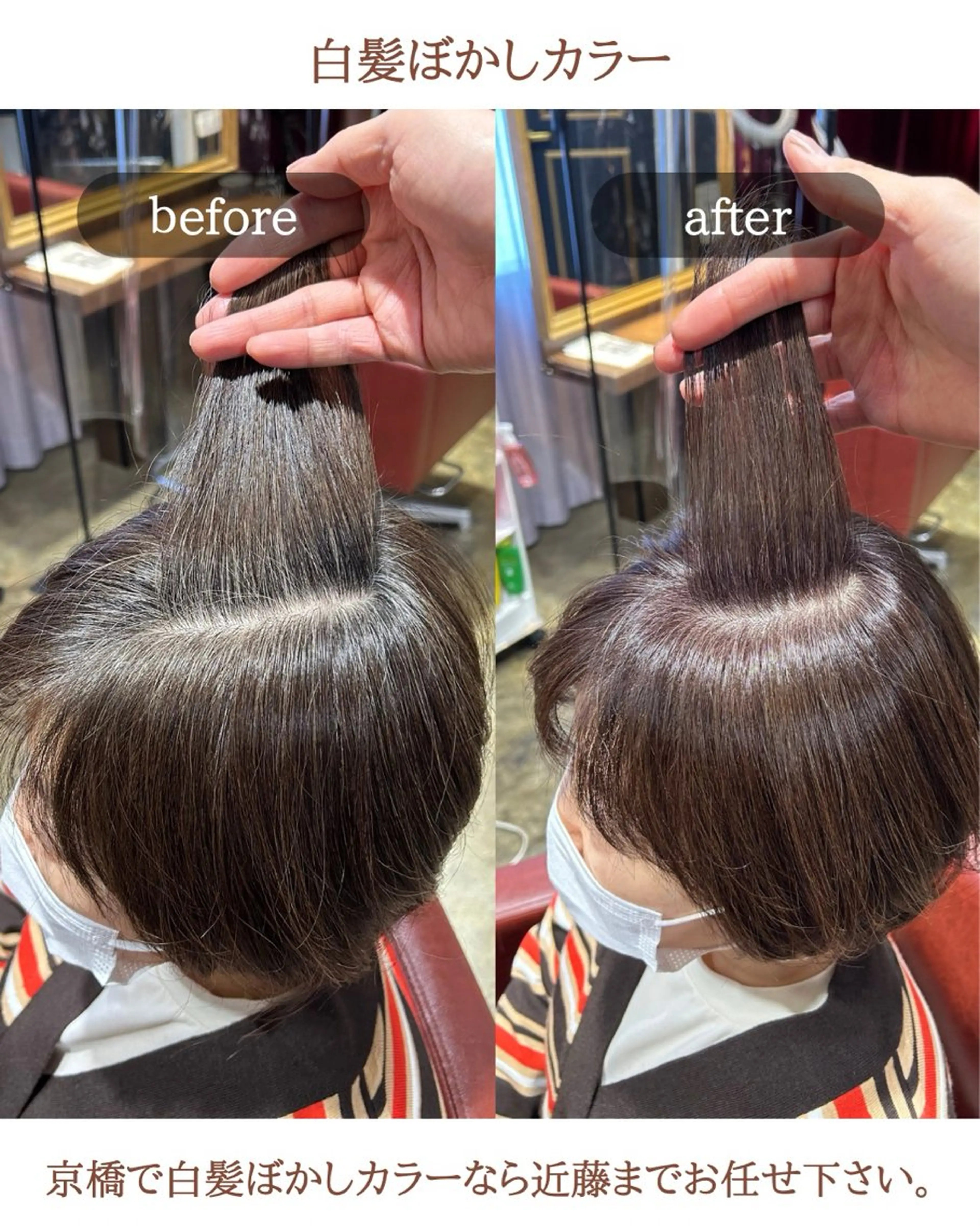 ショート カラー ハイライトカラー ハイライト 縄 勇希のヘアスタイル