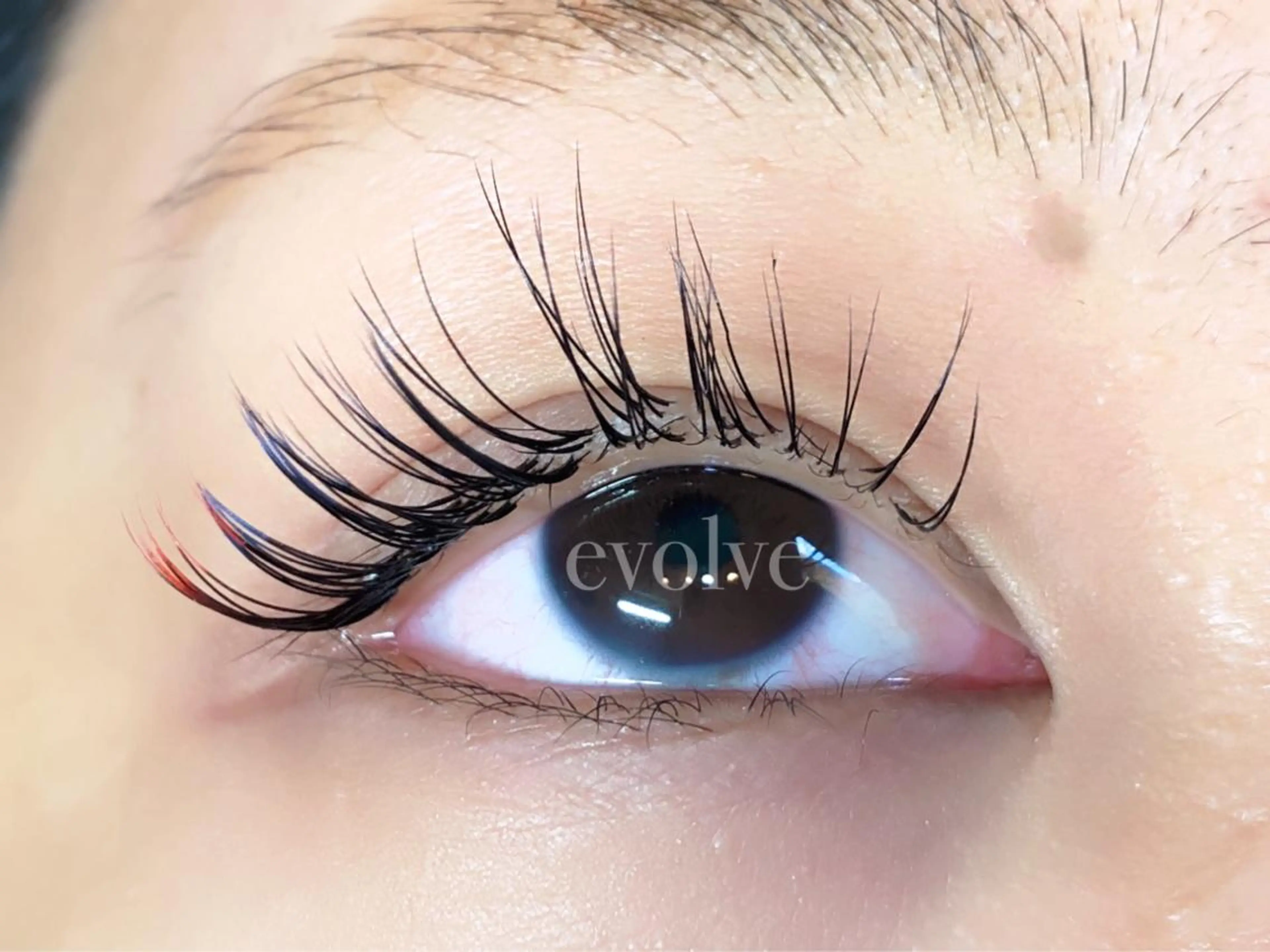 マツエク・マツパ Cカール evolve by TypeAB所属・evolve  by TypeABのマツエク・マツパデザイン