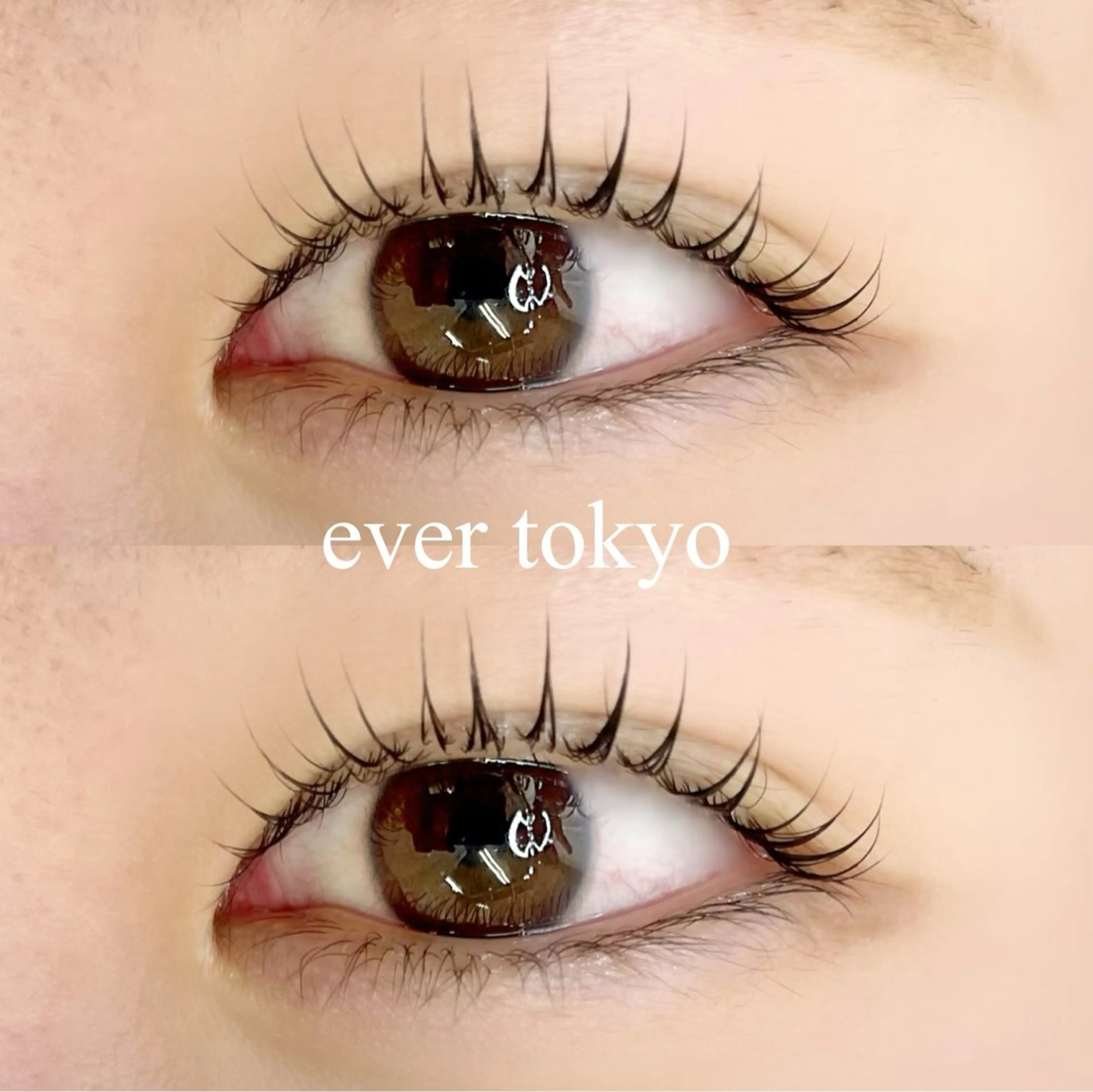 マツエク・マツパ Dカール alicetokyo 天神店のマツエク・マツパデザイン