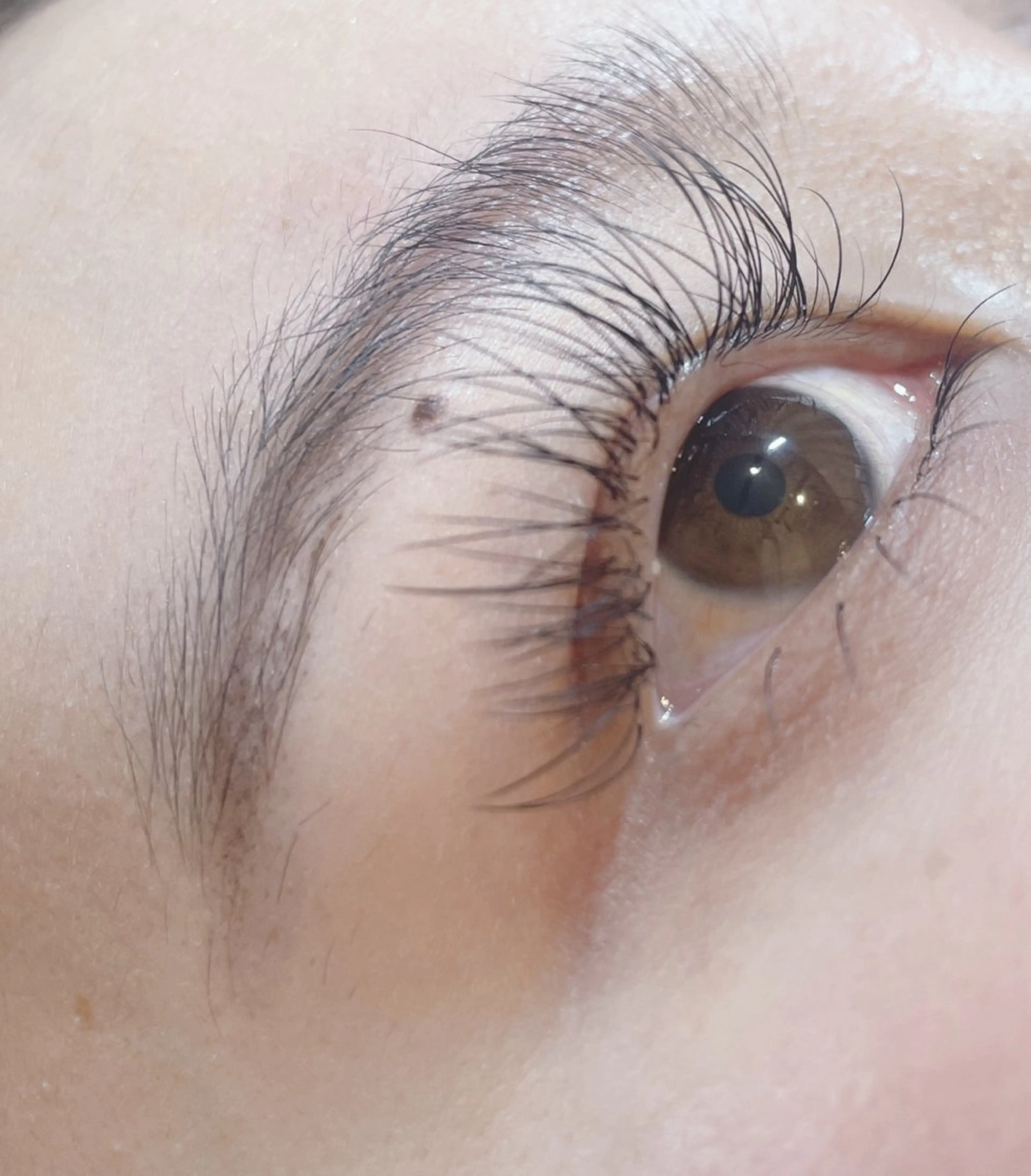 マツエク・マツパ フラットラッシュ パリジェンヌラッシュリフト 下まつげエクステ Lokelani HAYASHIのマツエク・マツパデザイン