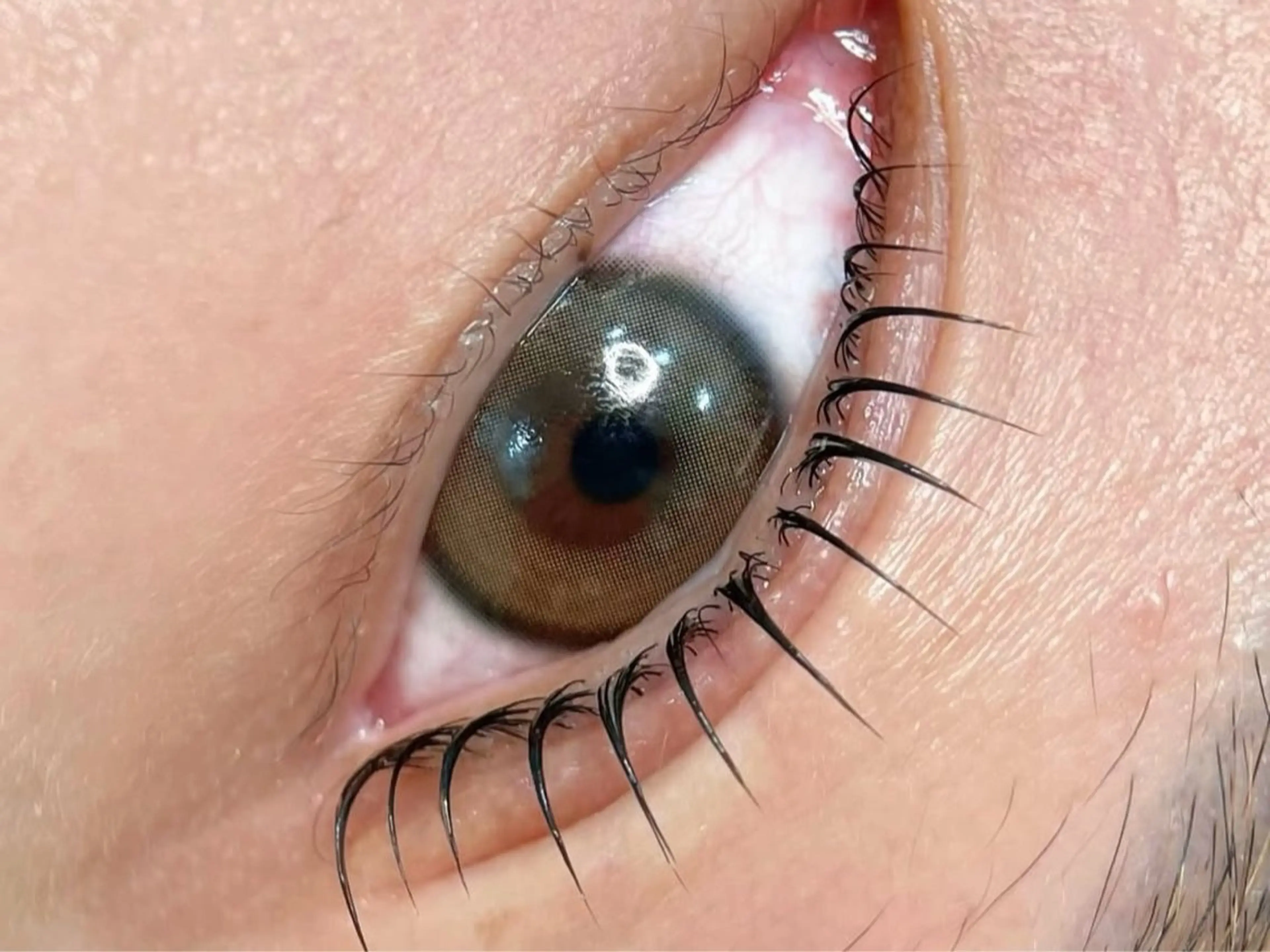 マツエク・マツパ 束感まつ毛 カラーマツエク フラットラッシュ パリジェンヌラッシュリフト まつげパーマ マツパ 🍓 KaNan🍓のマツエク・マツパデザイン