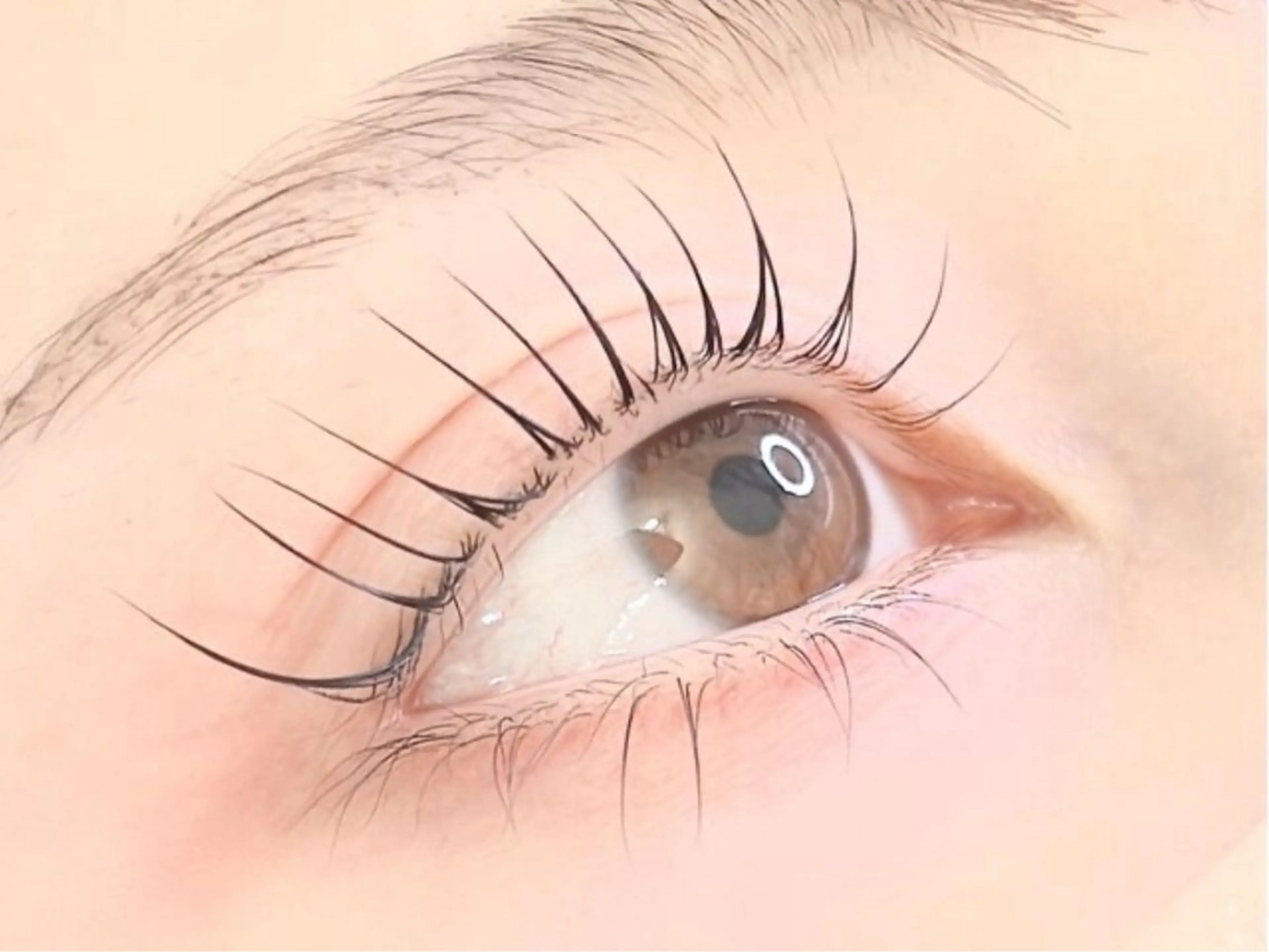 🎀上下パリジェンヌ🎀アイシャンプー＋トリートメント付きの写真