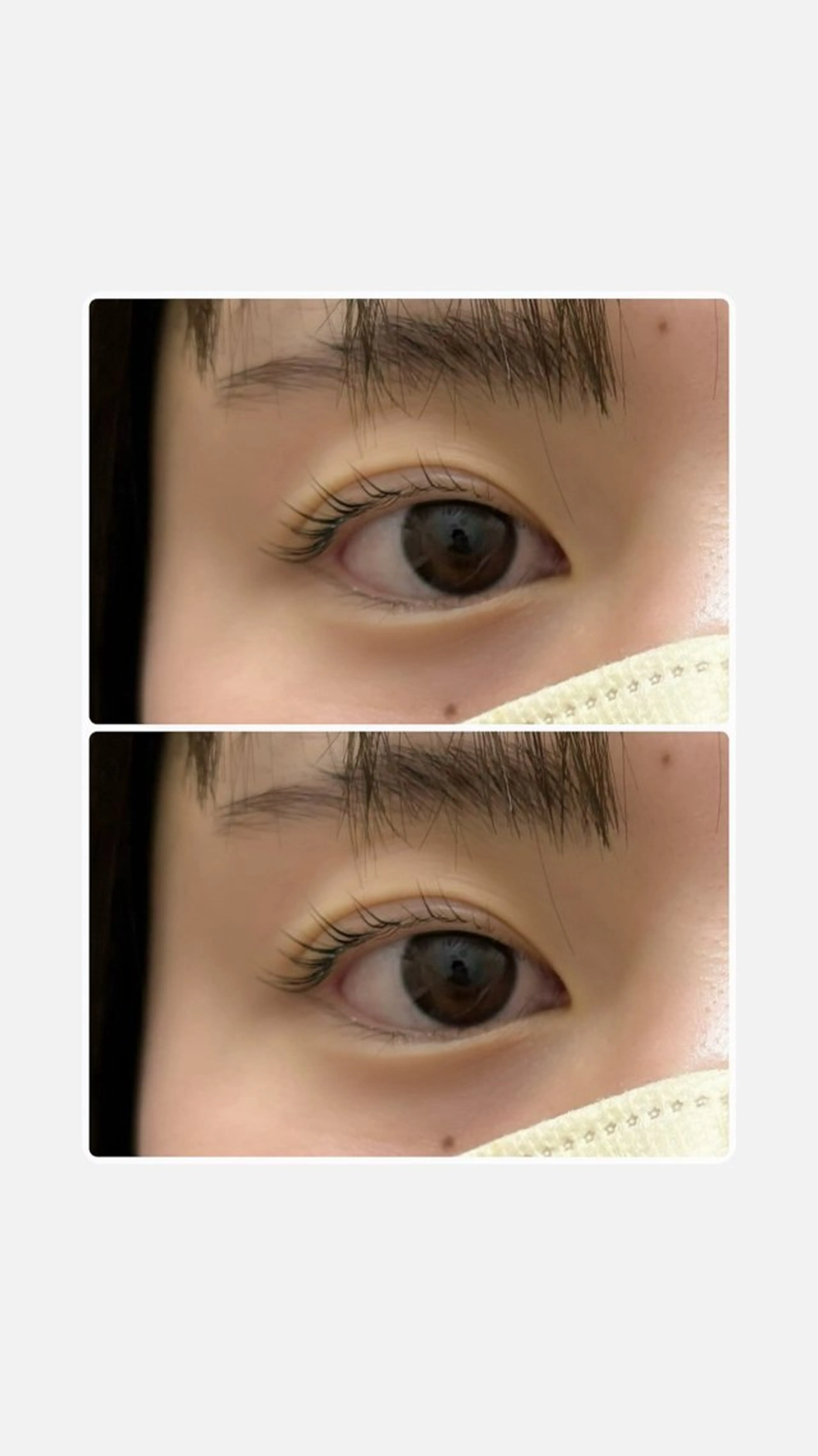 パリジェンヌラッシュリフト🌷まつ毛キープセラム付きの写真