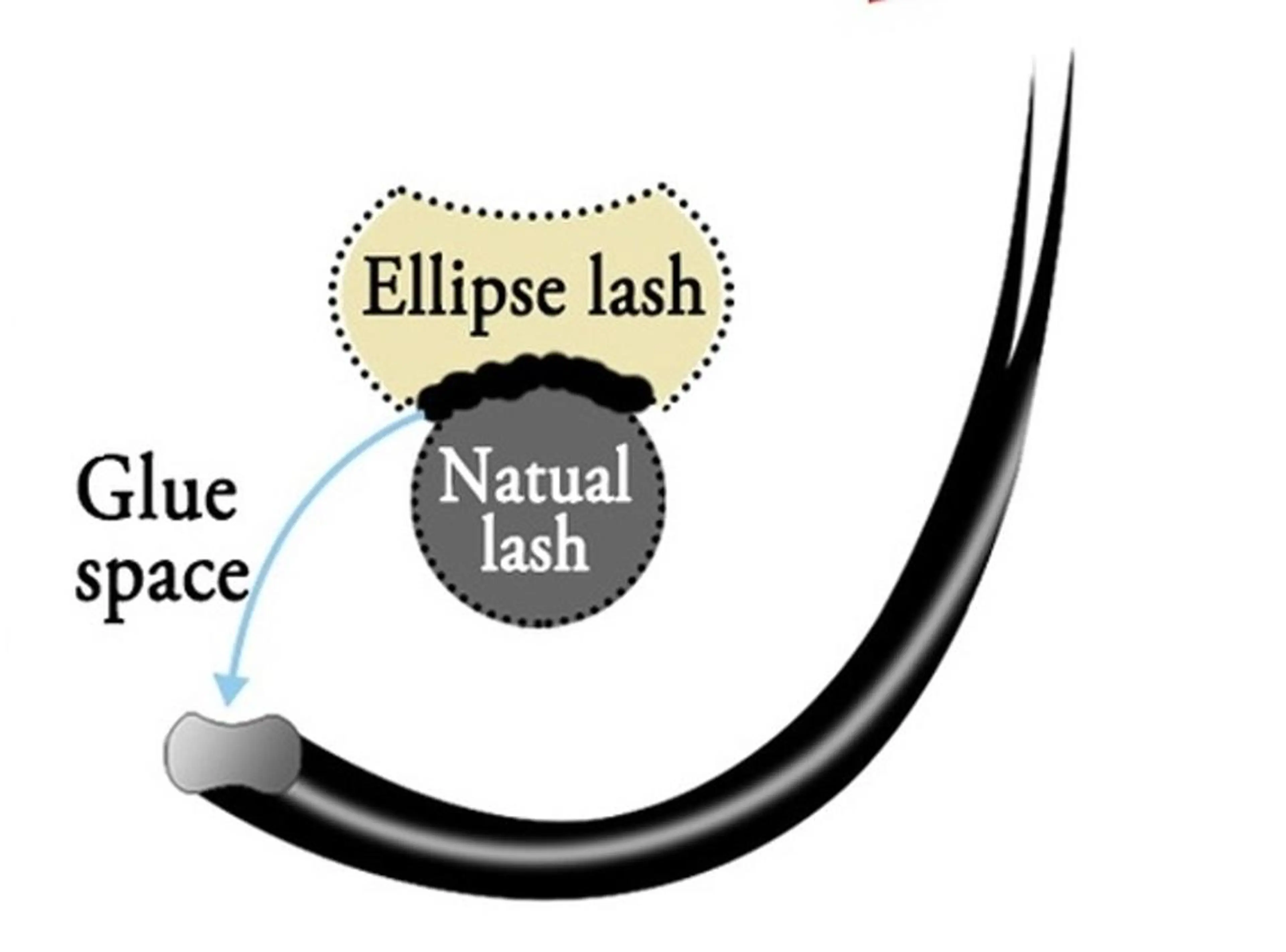 マツエク・マツパ メディカルエステ マドンナ富士宮店のエステ・リラクイメージ