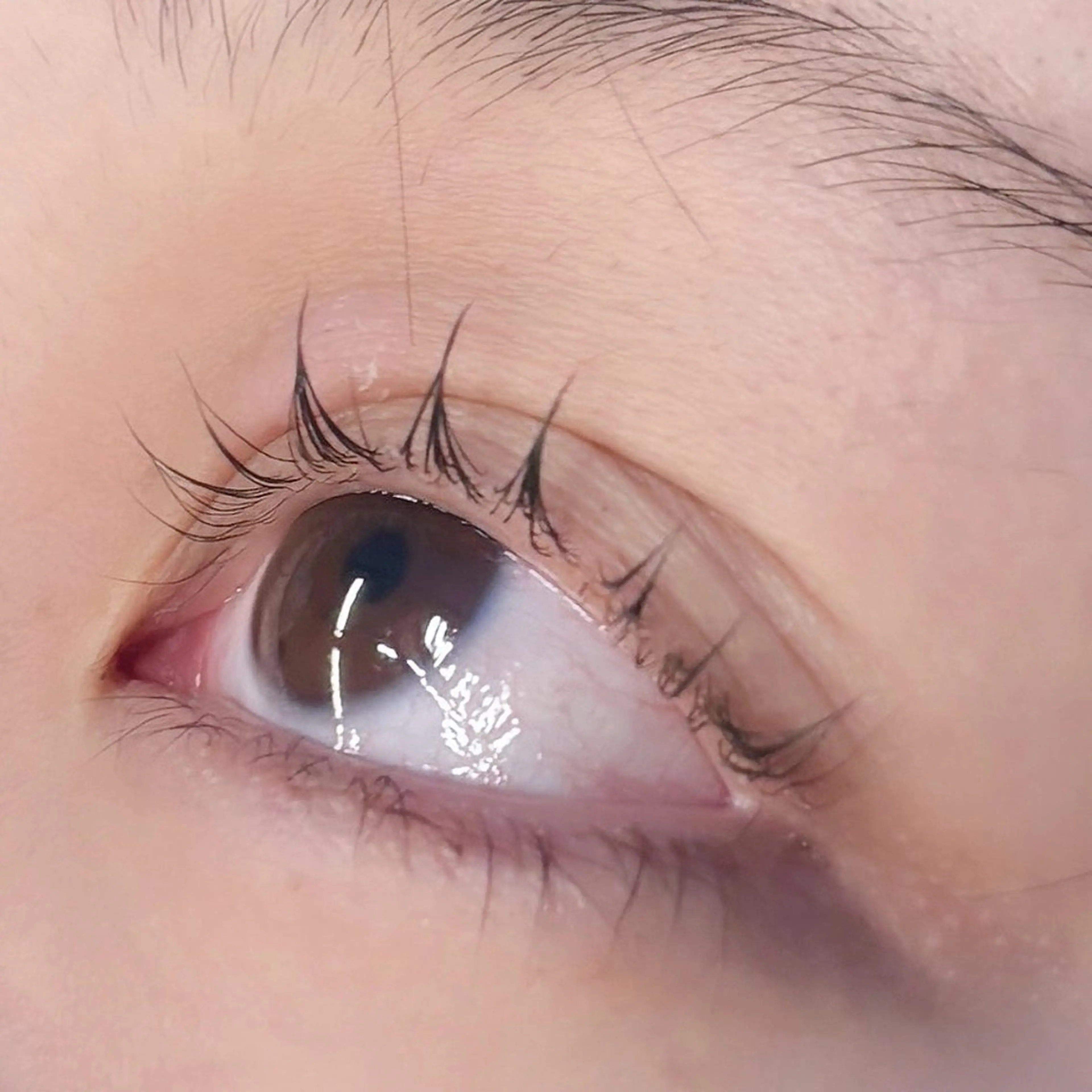 まつげパーマ(パリジェンヌラッシュリフト不可)の写真