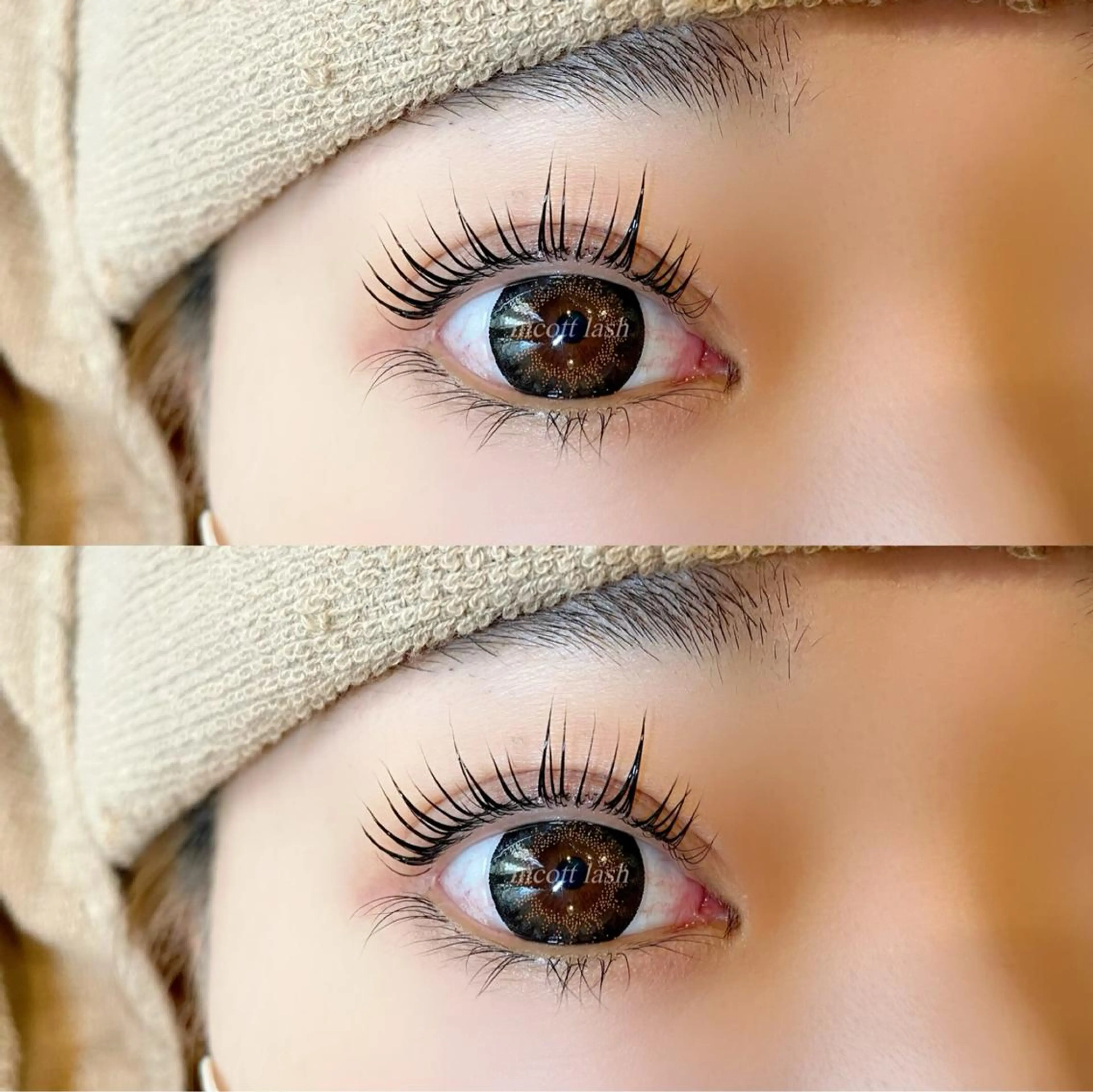 マツエク・マツパ パリジェンヌラッシュリフト デイジーラッシュ 天王寺　南のマツエク・マツパデザイン