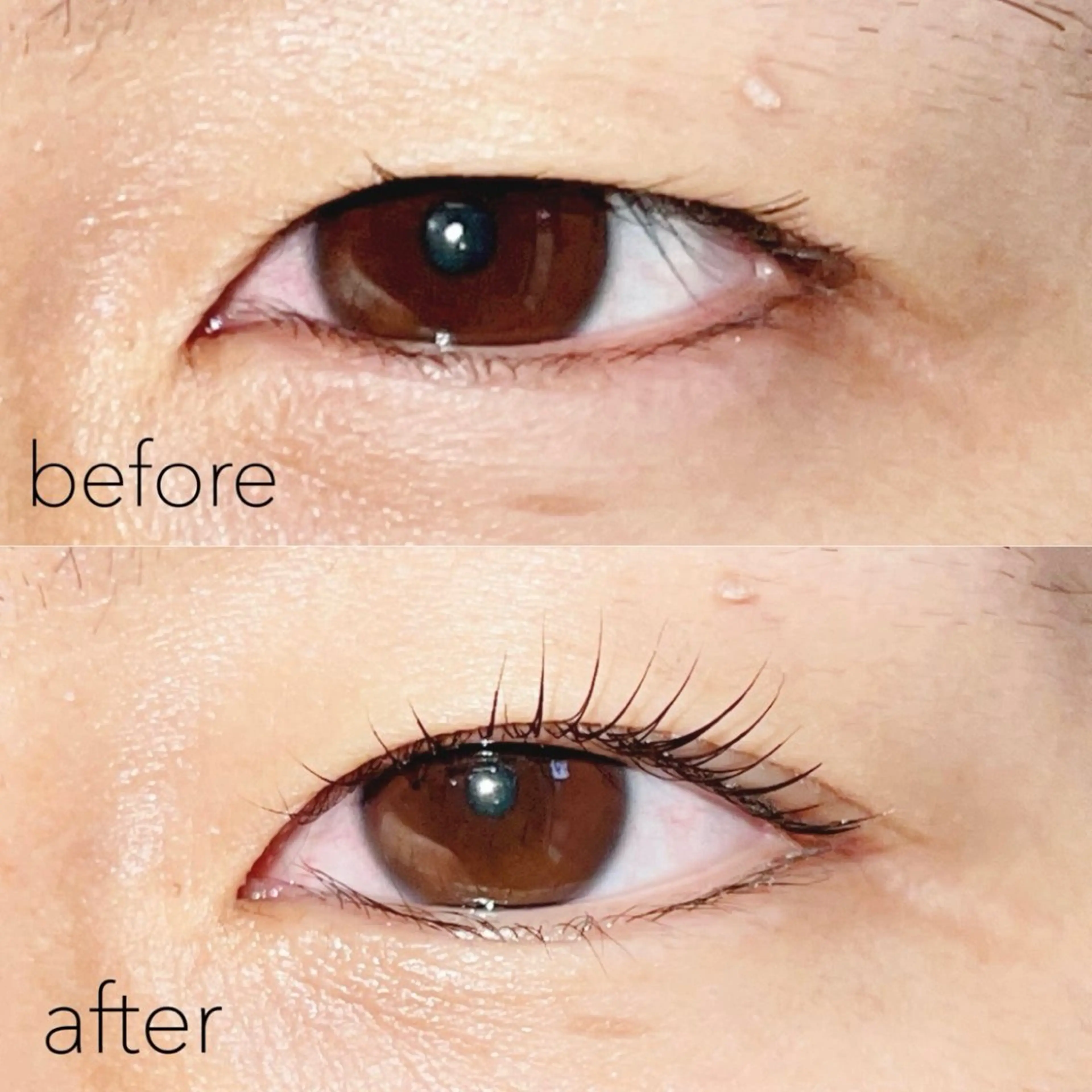 マツエク・マツパ マツパ toiro所属・toiro 鎌取のマツエク・マツパデザイン