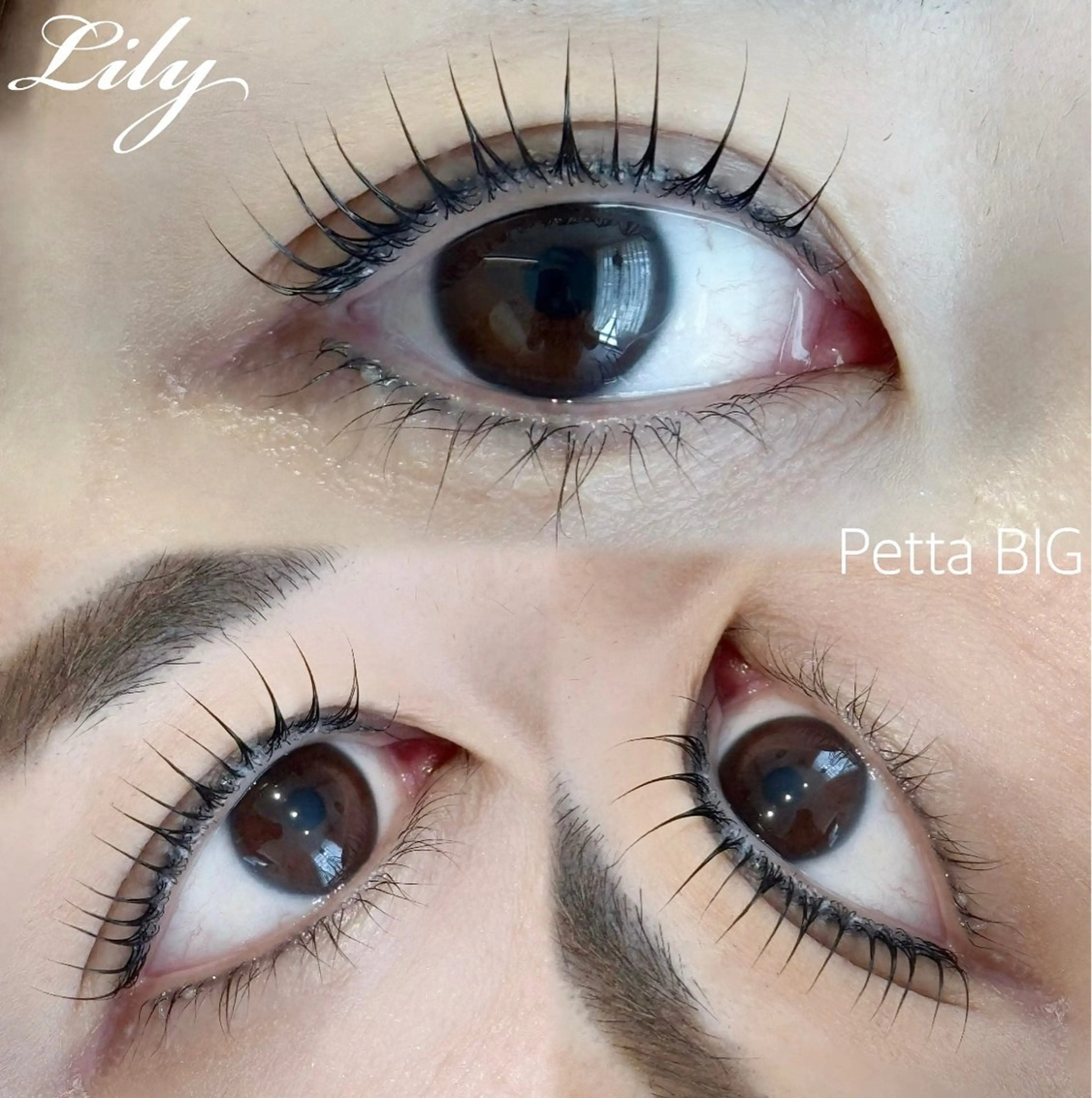 マツエク・マツパ Lily まつ毛専門店のマツエク・マツパデザイン