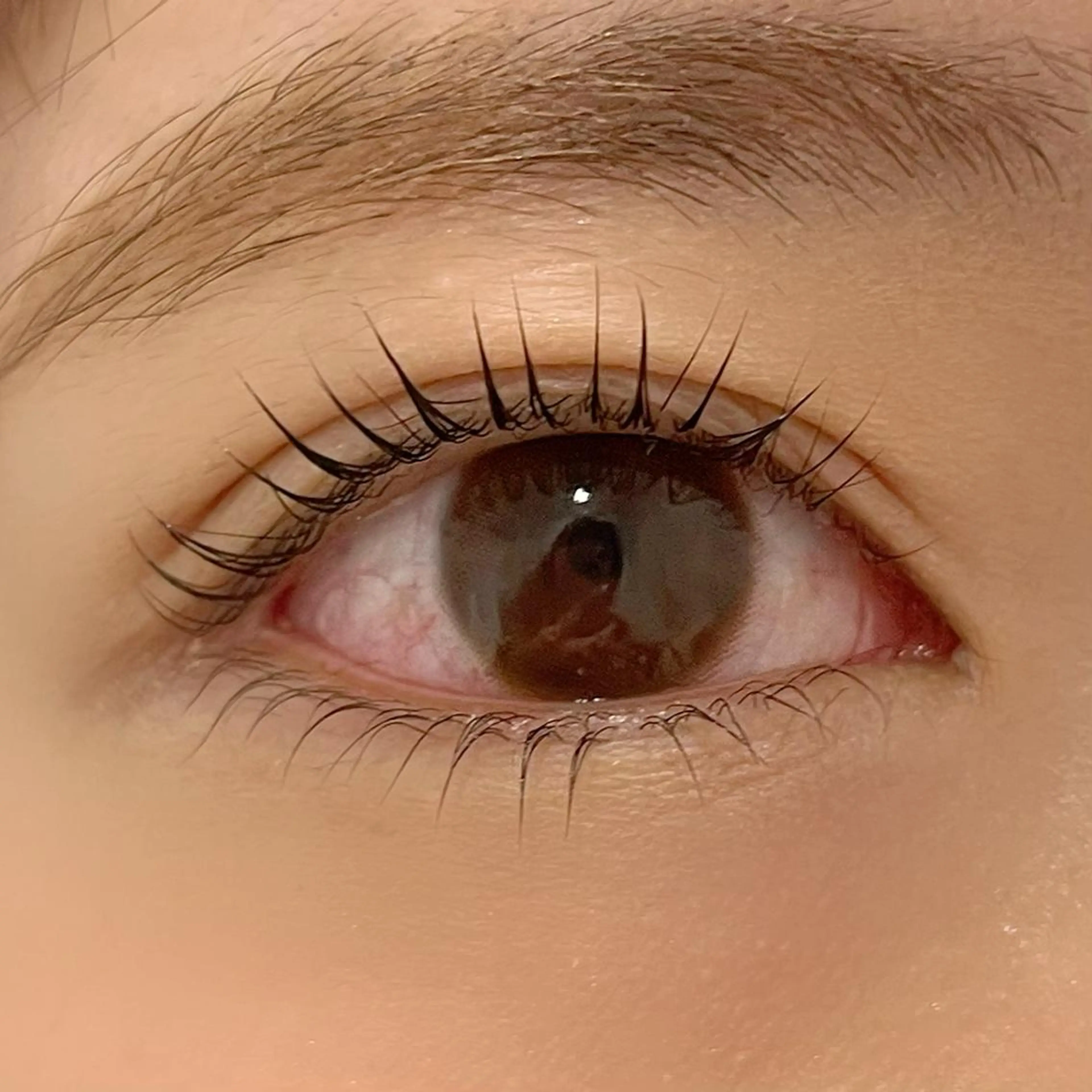 マツエク・マツパ まつげパーマ 下まつげエクステ ai一重専門🎀束感 まつげ🫧表参道のマツエク・マツパデザイン