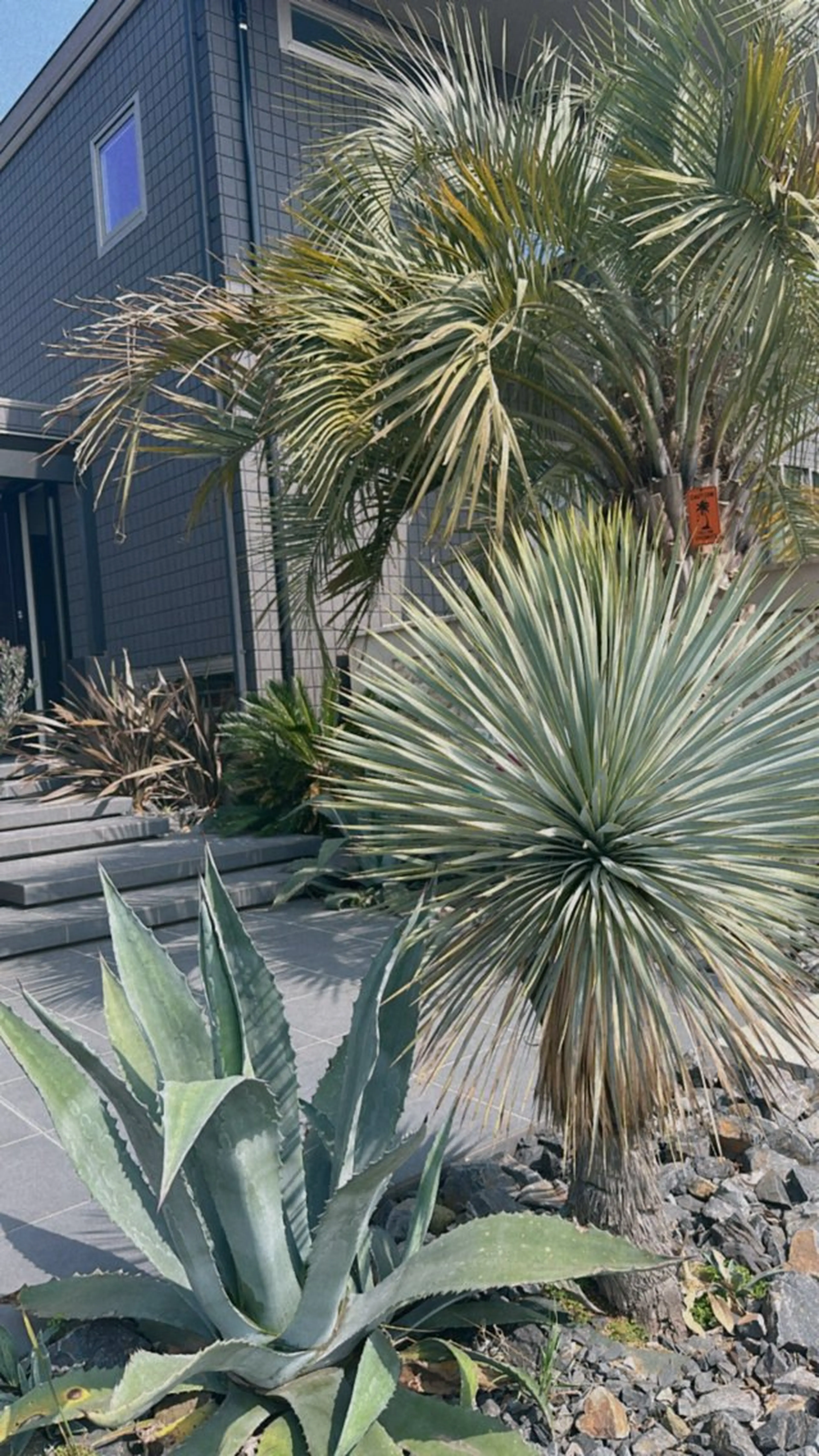 ハワイアンリラクゼーション　マレアロミロミサロンMāAlea lomilomisalon所属・SALON MāAleaのその他イメージ