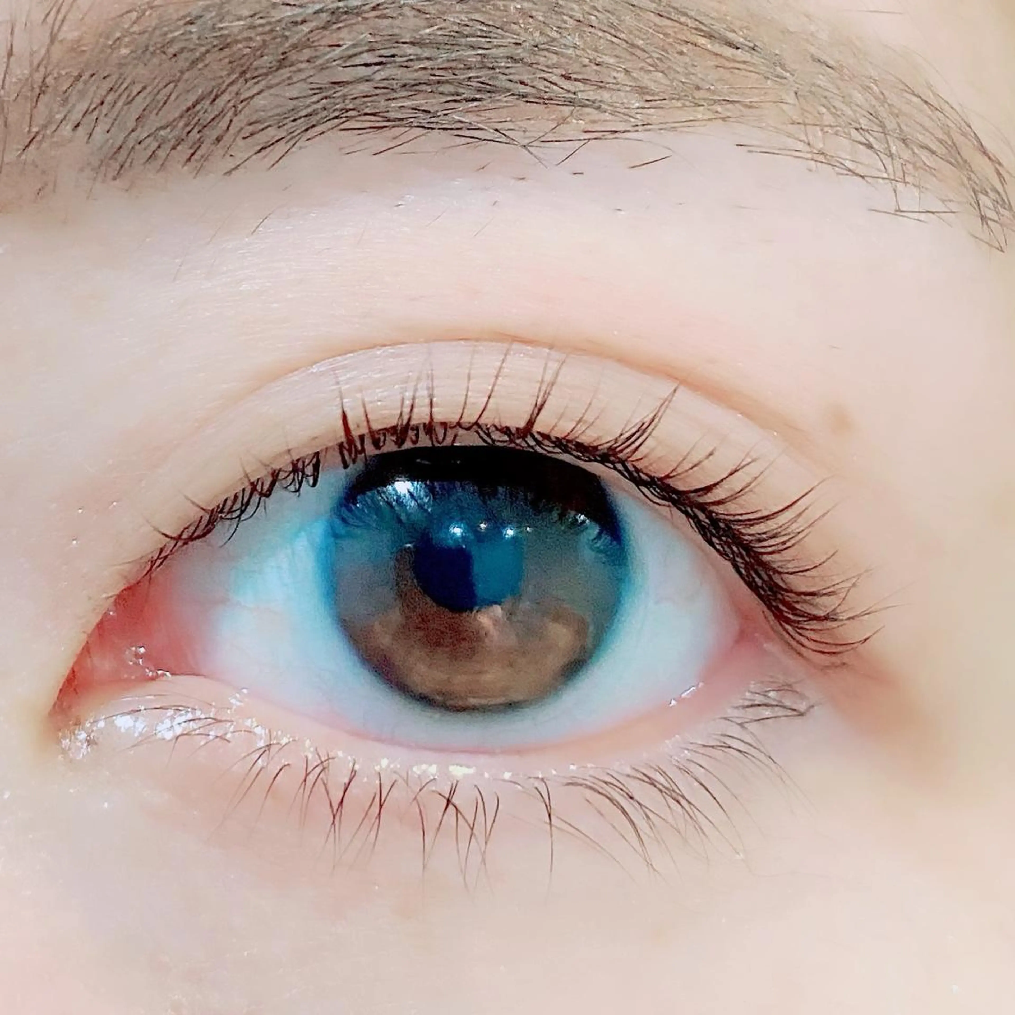 マツエク・マツパ パリジェンヌラッシュリフト Bianca 長津田店　長牛の眉毛・アイブロウイメージ