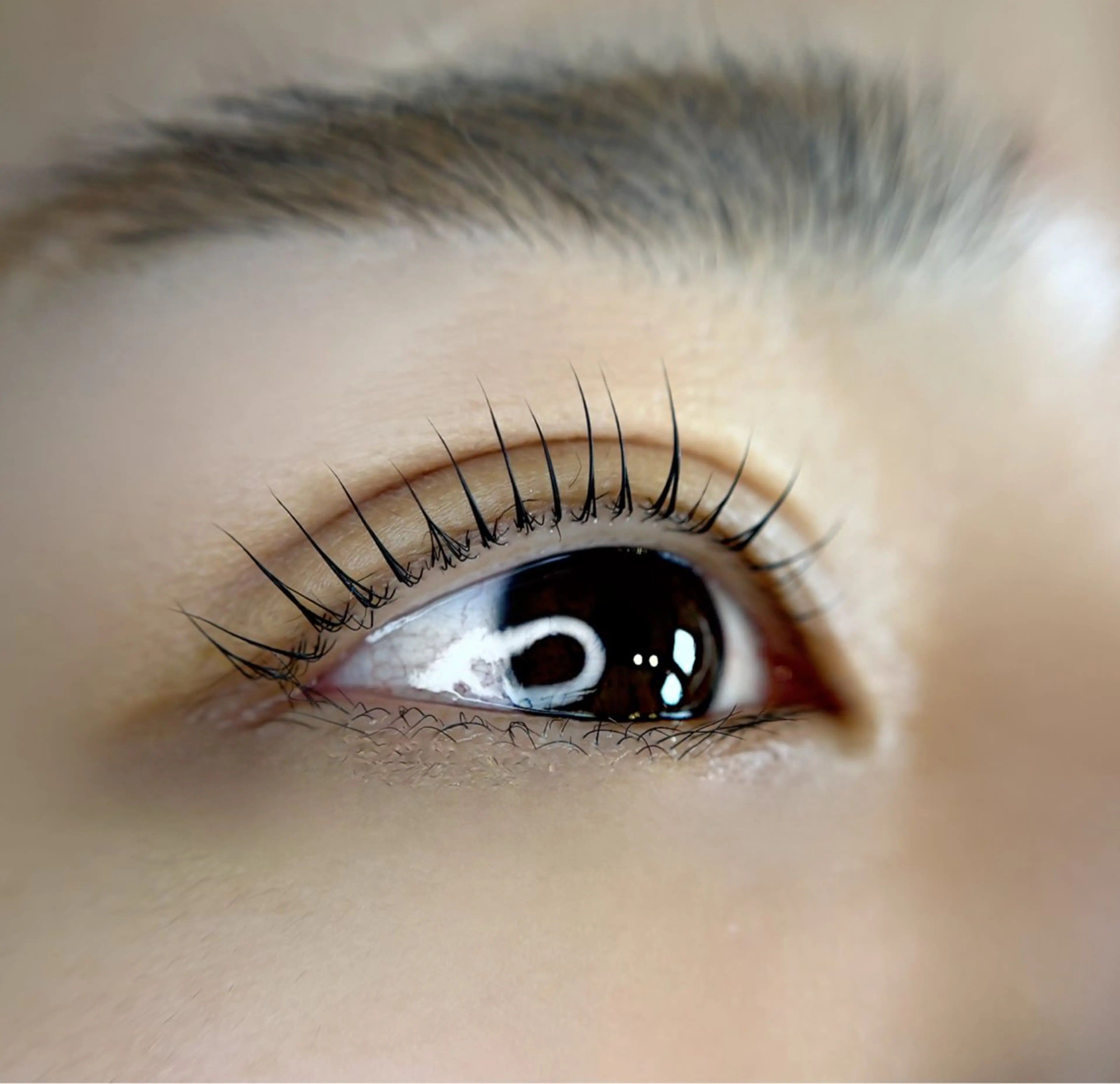 マツエク・マツパ 杉山 栄里佳の眉毛・アイブロウイメージ