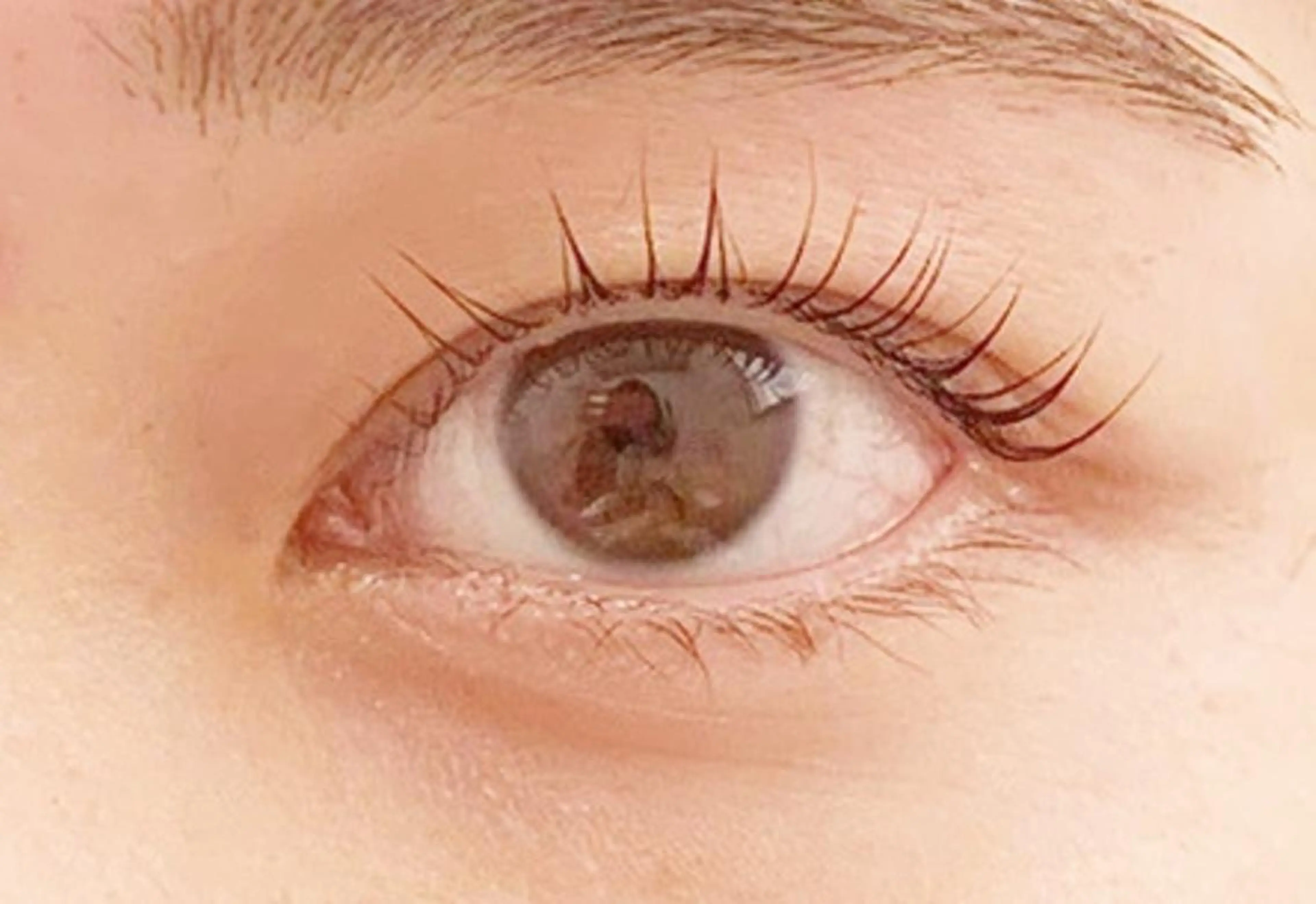 ラッシュリフト×アイブロウスタイリングの写真