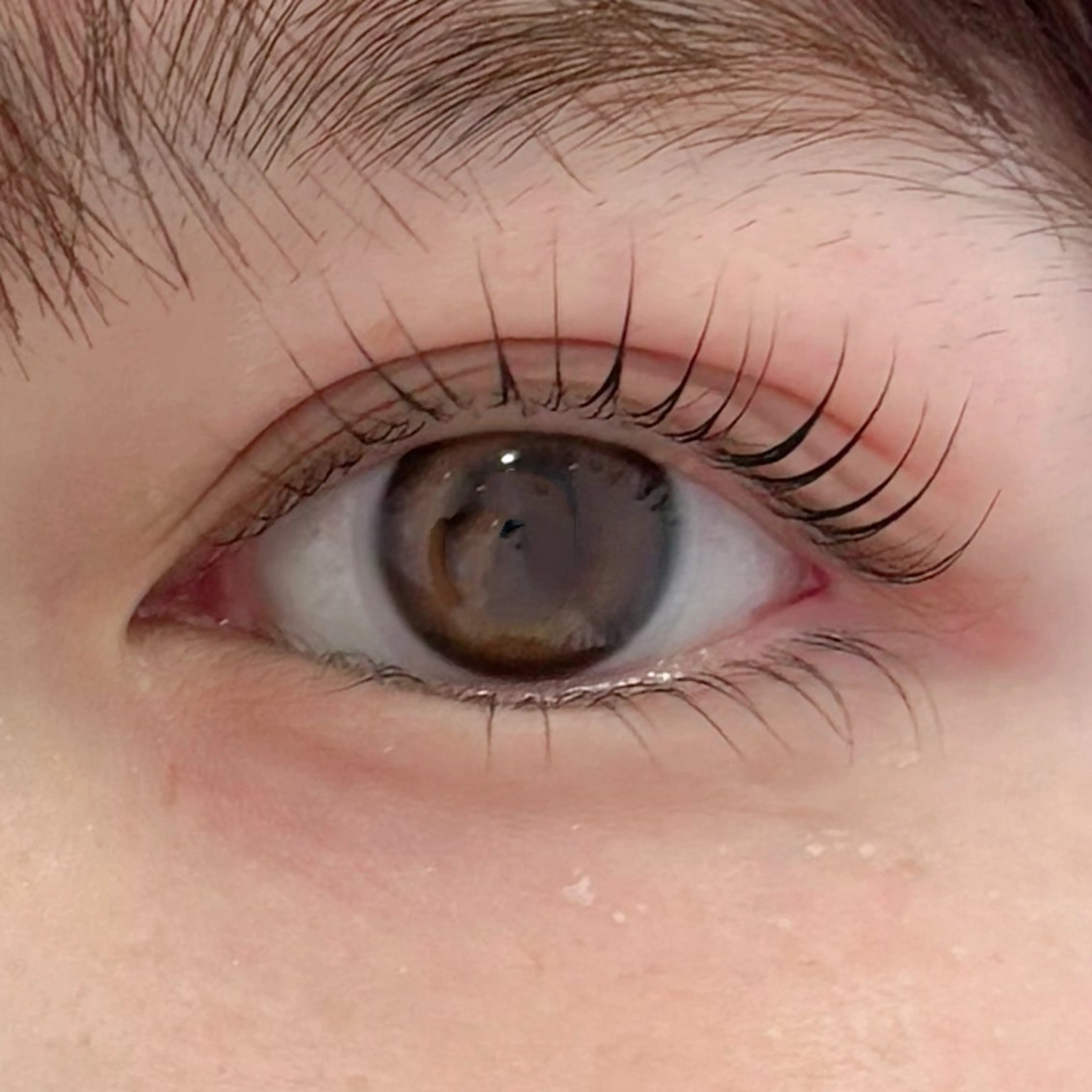 マツエク・マツパ マツパ 🌙Lily 船橋 鈴木のマツエク・マツパデザイン