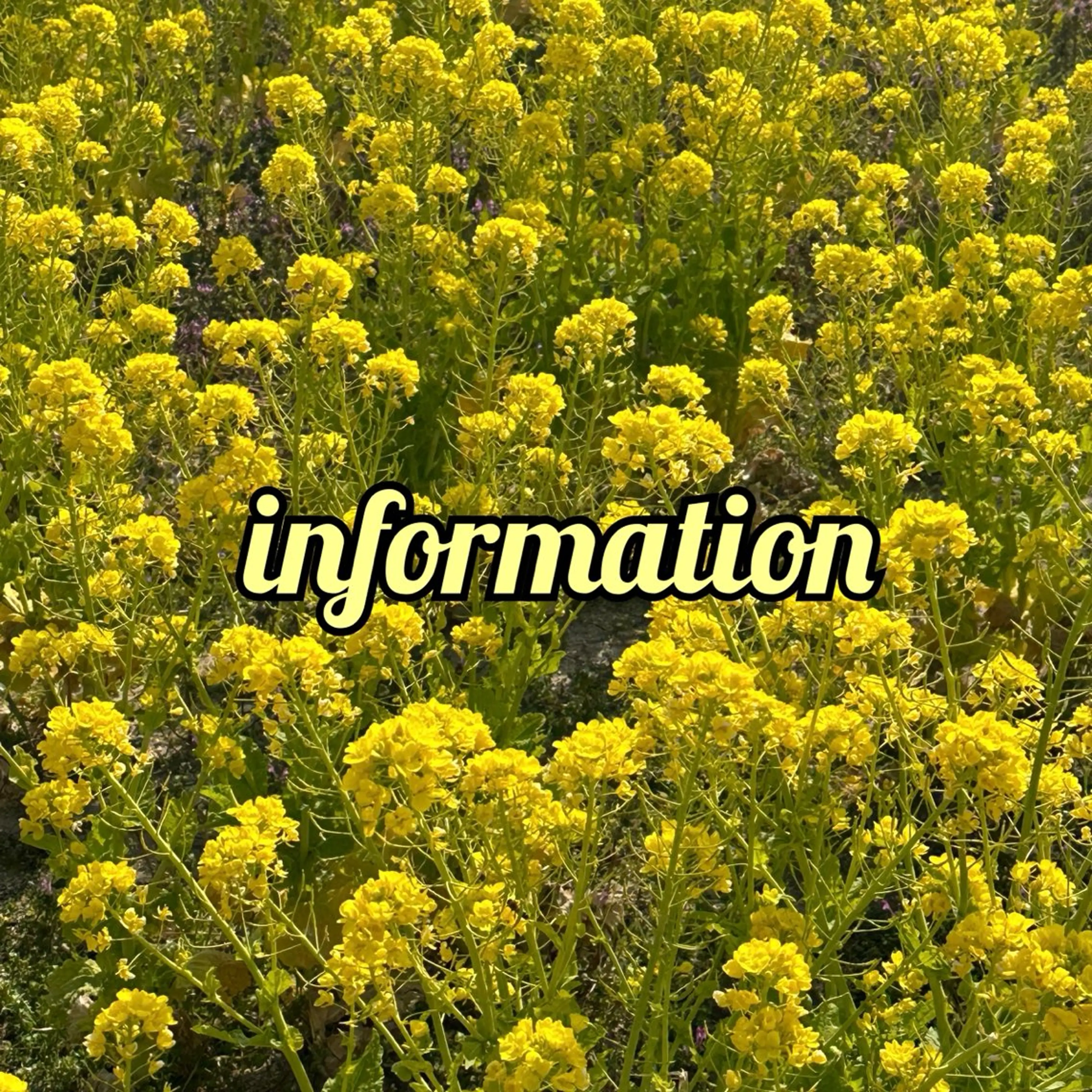 ネイル アートネイル Ray nail natsu🎀のネイルデザイン