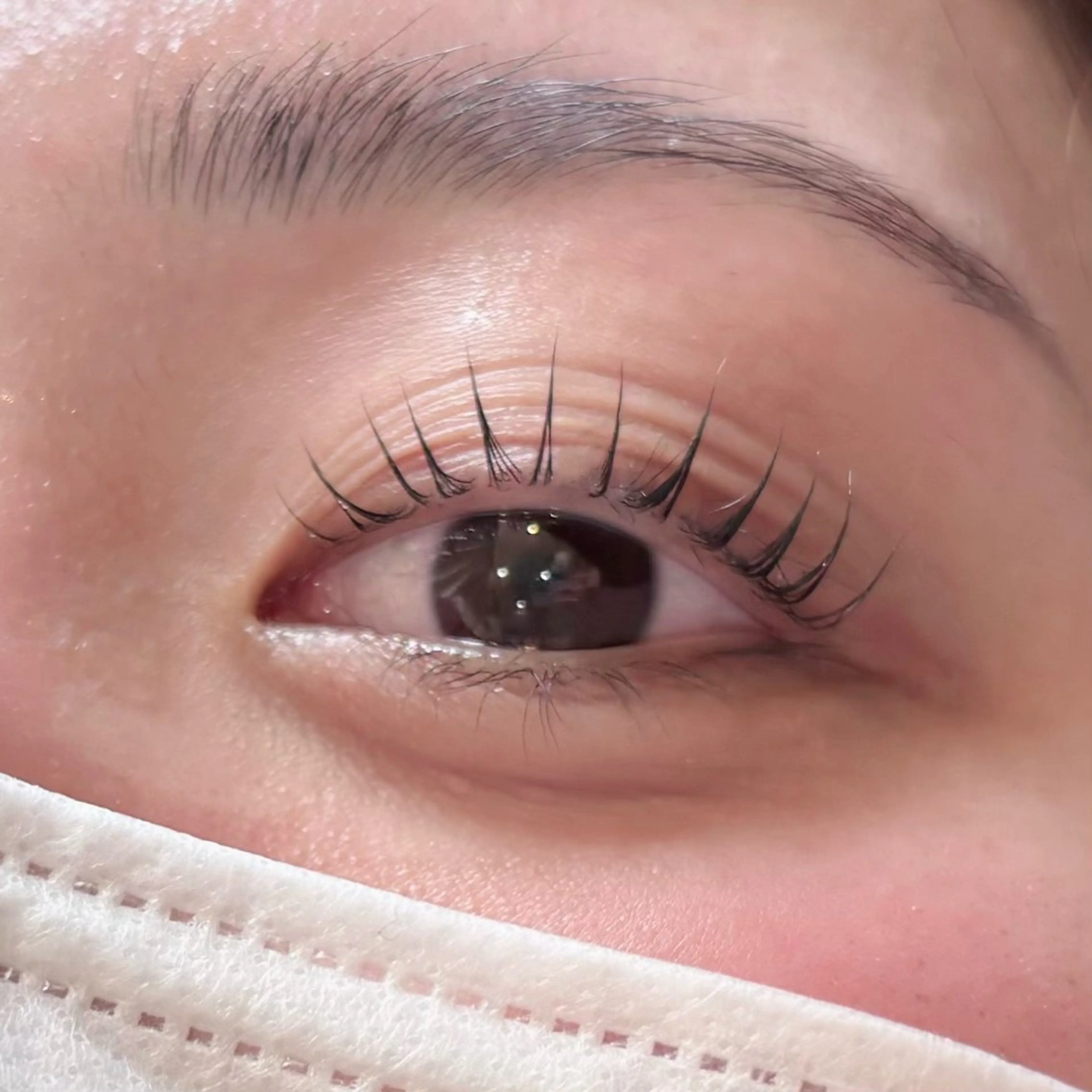 セットでお得👌🏻💘まつ毛パーマ×アイブロウWAX脱毛 初回¥6600/再来¥8800の写真