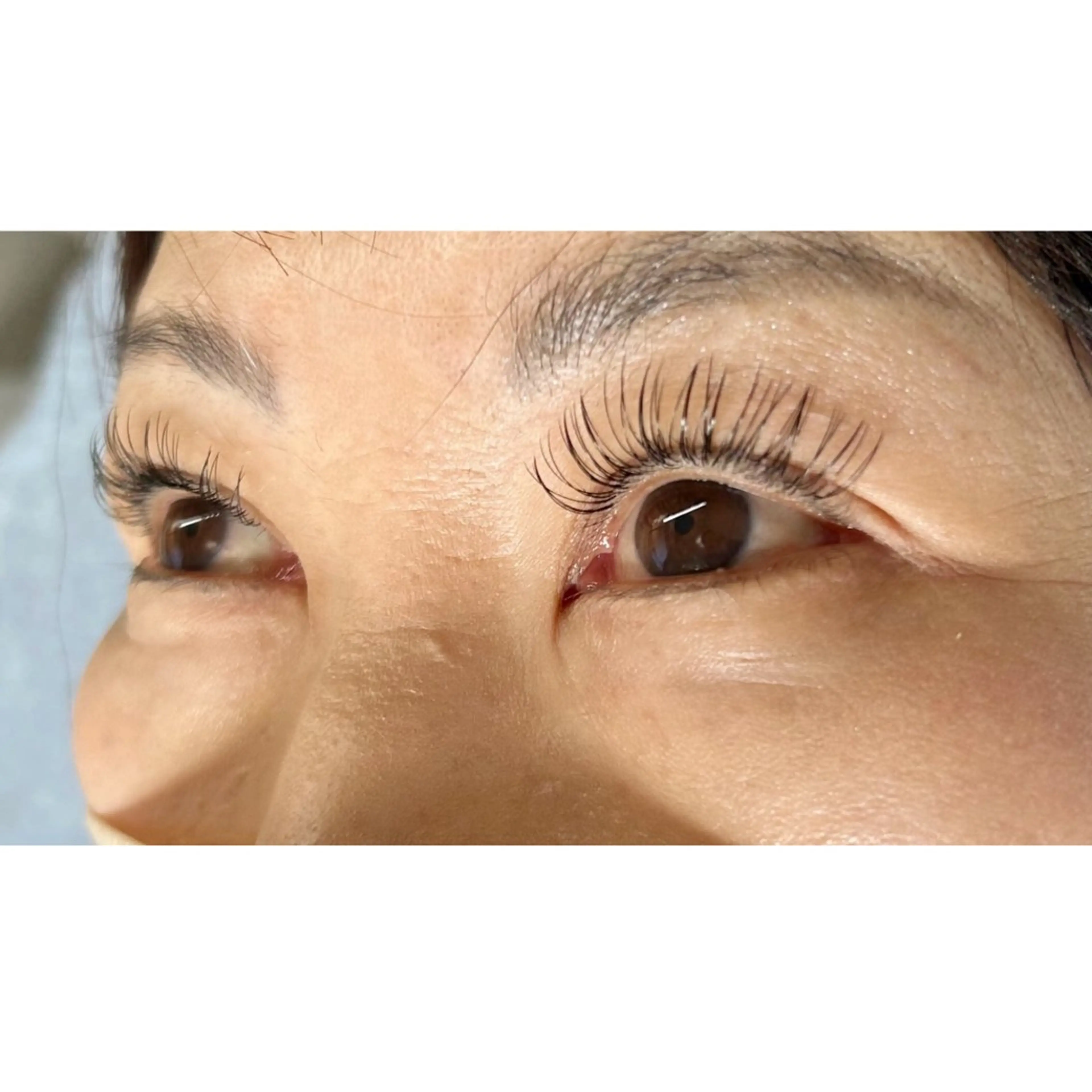 100本（アイシャンプー・お仕上げコーティング付き）の写真