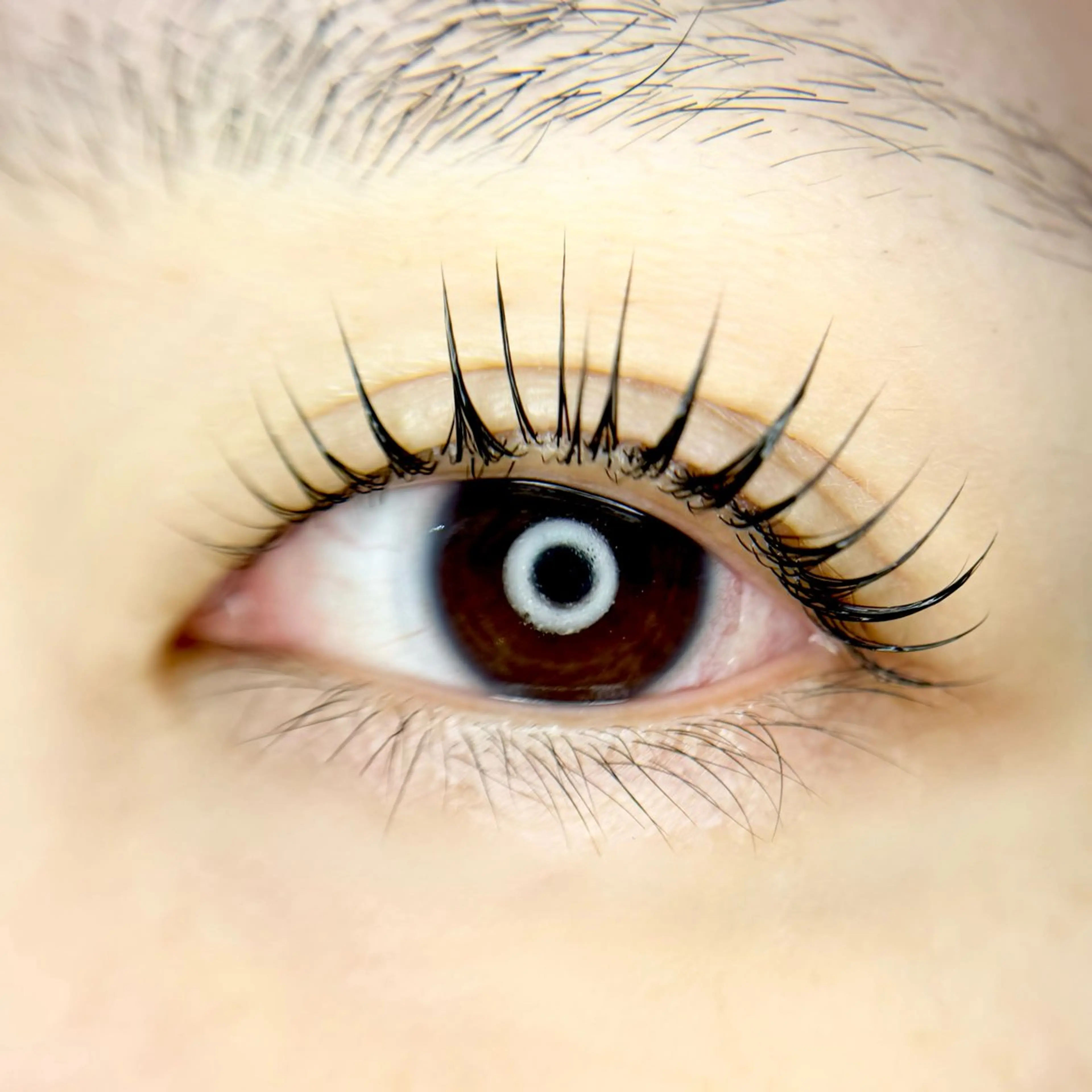 マツエク・マツパ まつげパーマ サロン ド フォース 西船橋店/伊藤のマツエク・マツパデザイン