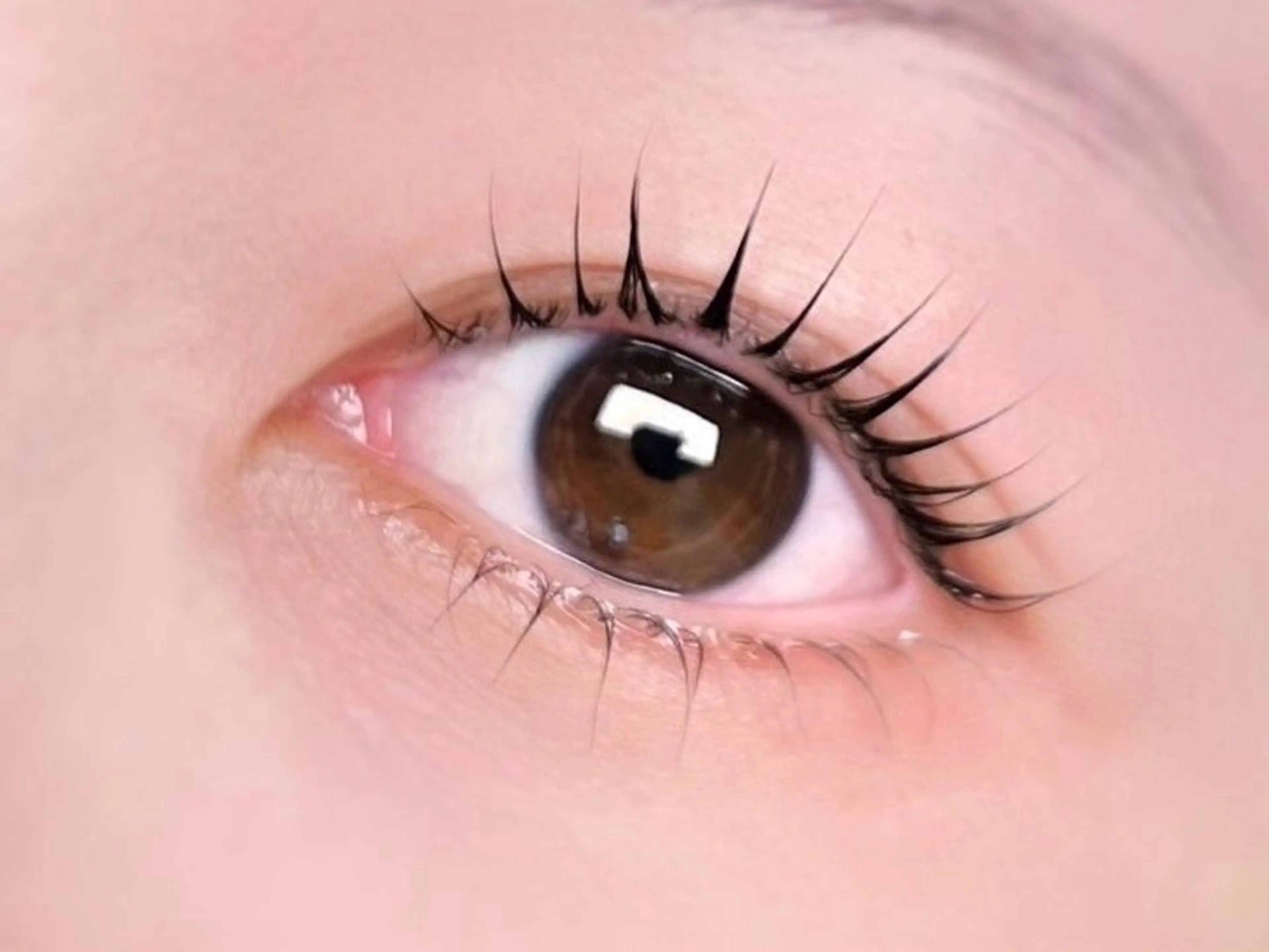 マツエク・マツパ meiro 栄店の眉毛・アイブロウイメージ