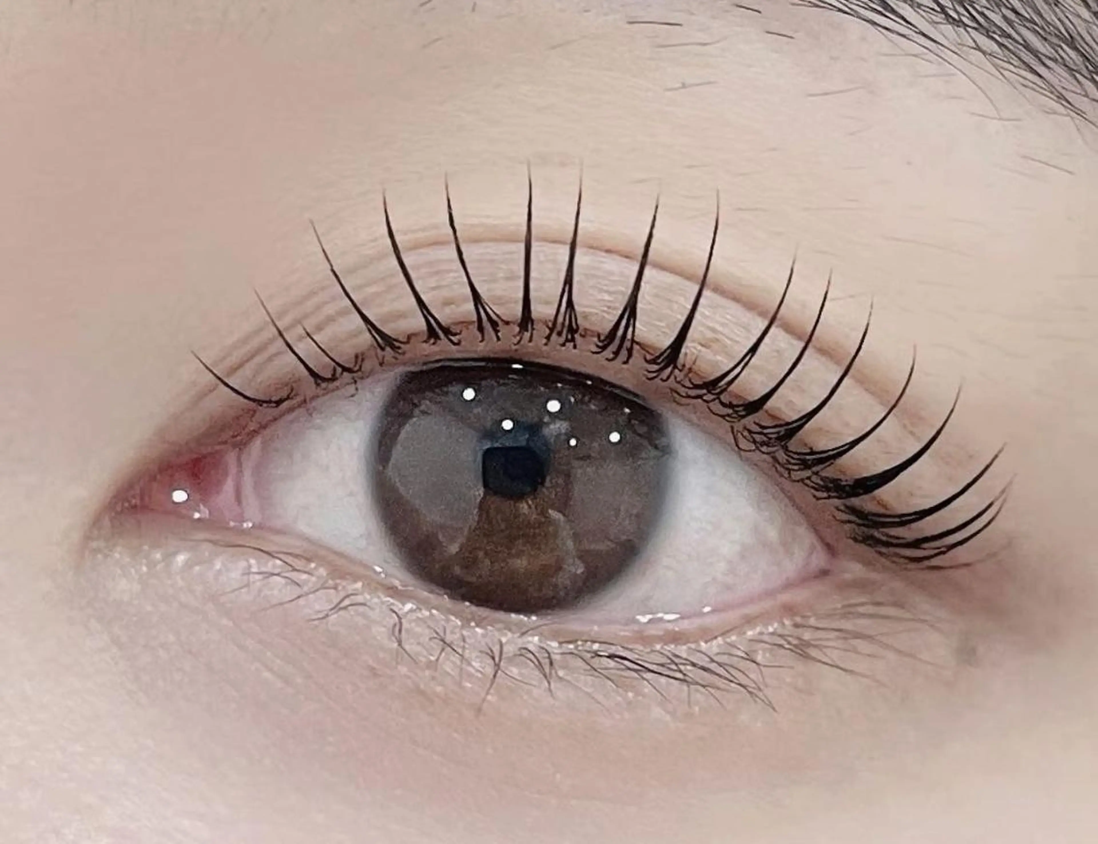 マツエク・マツパ マツパ まつげパーマ専門店 FOIのマツエク・マツパデザイン