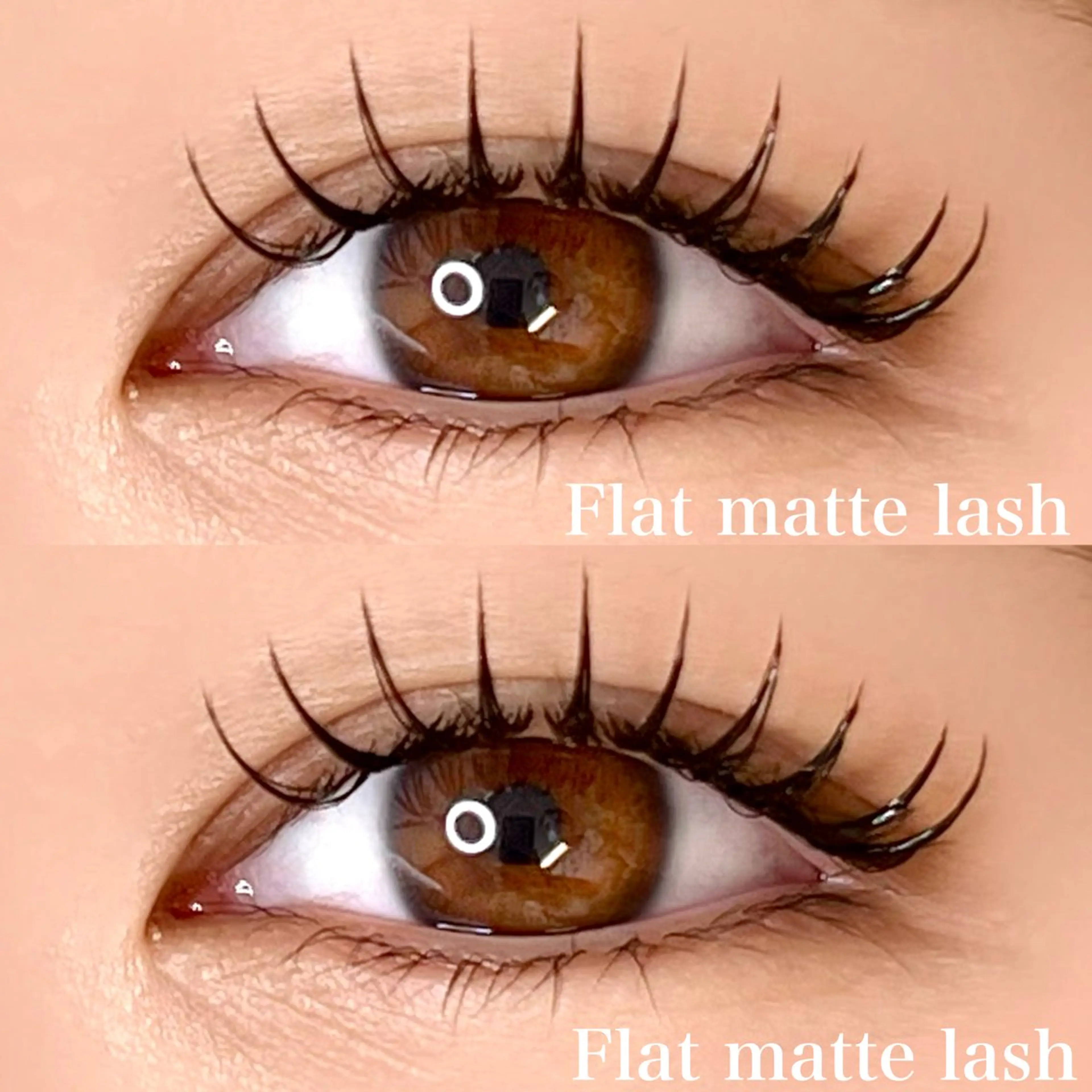 【❤️ Platinum sable『120本』❤️】の写真