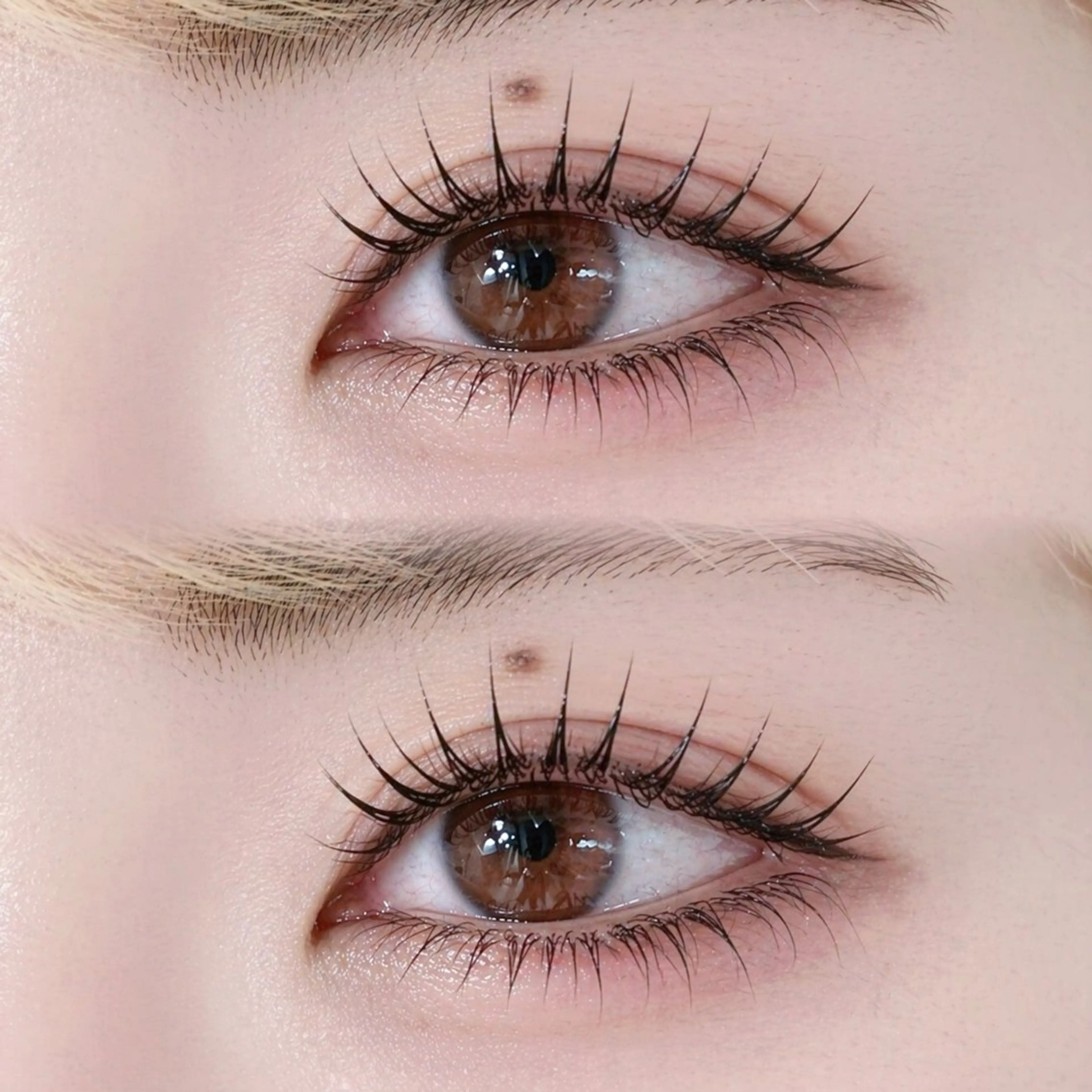 マツエク・マツパ マツパ FOXYLASH難波 sasakiのマツエク・マツパデザイン