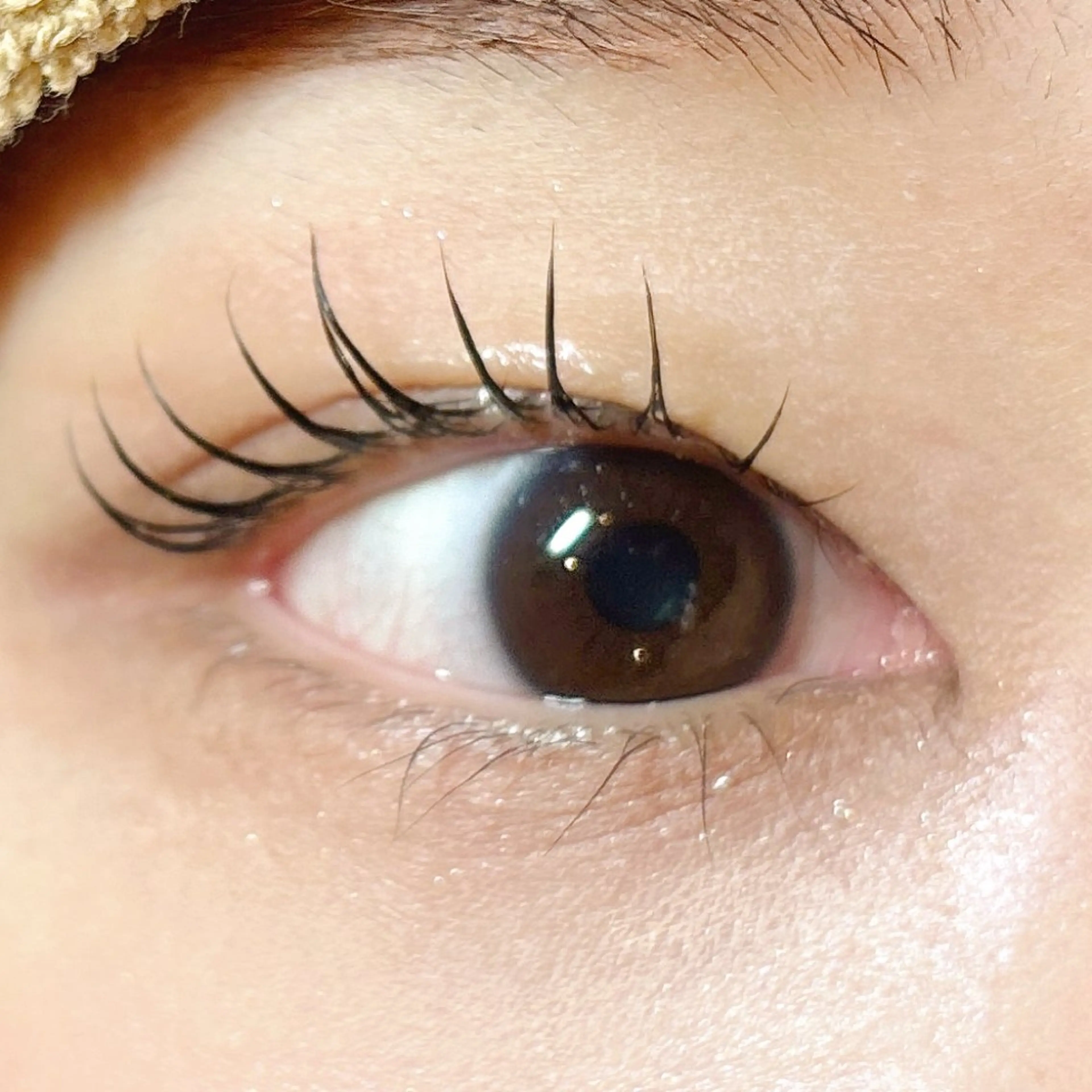 マツエク・マツパ naitre 🌼SHIORI🌼のマツエク・マツパデザイン