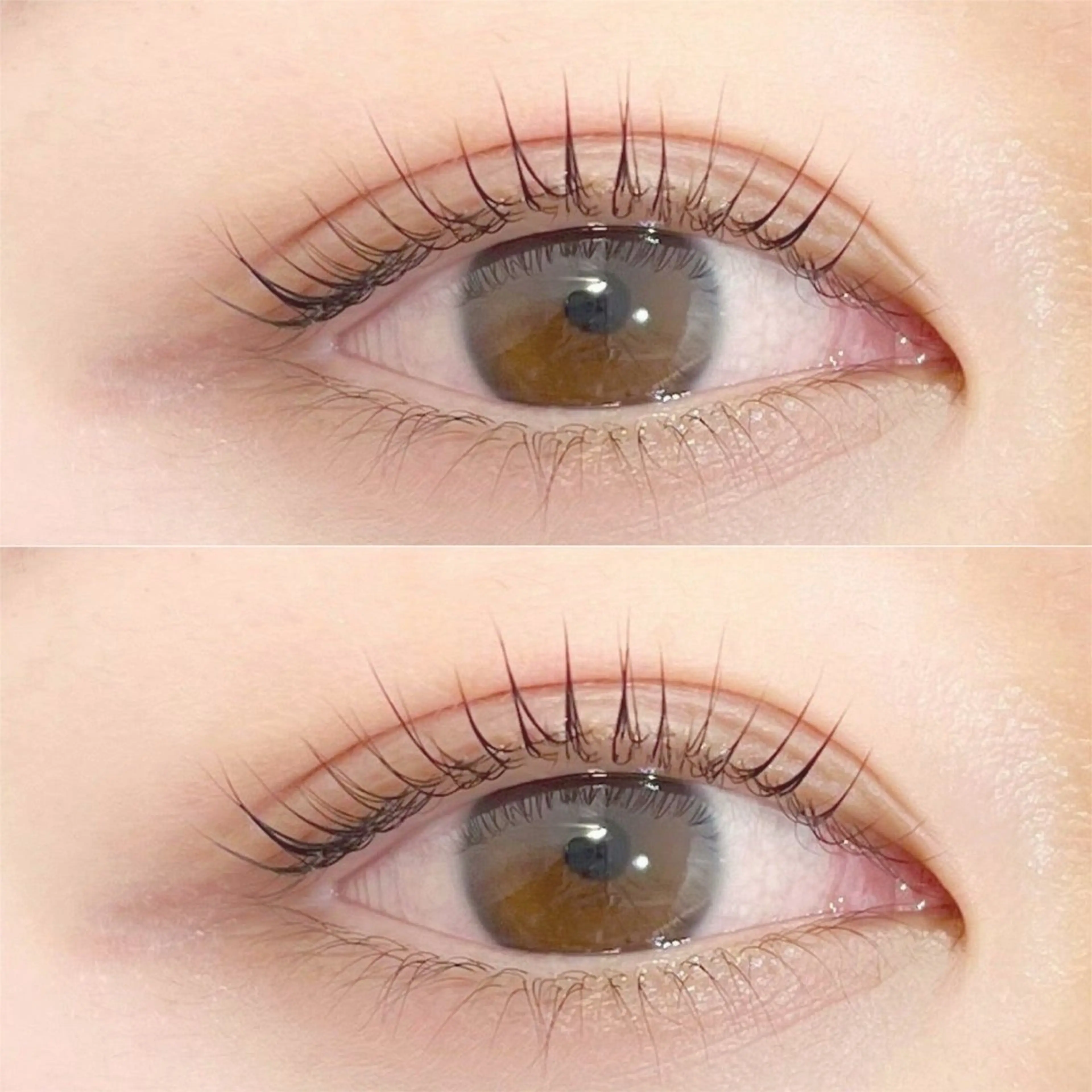 【💝次世代パーマ ☾⋆⁺₊⋆】 パリジェンヌラッシュリフト🩰💗の写真