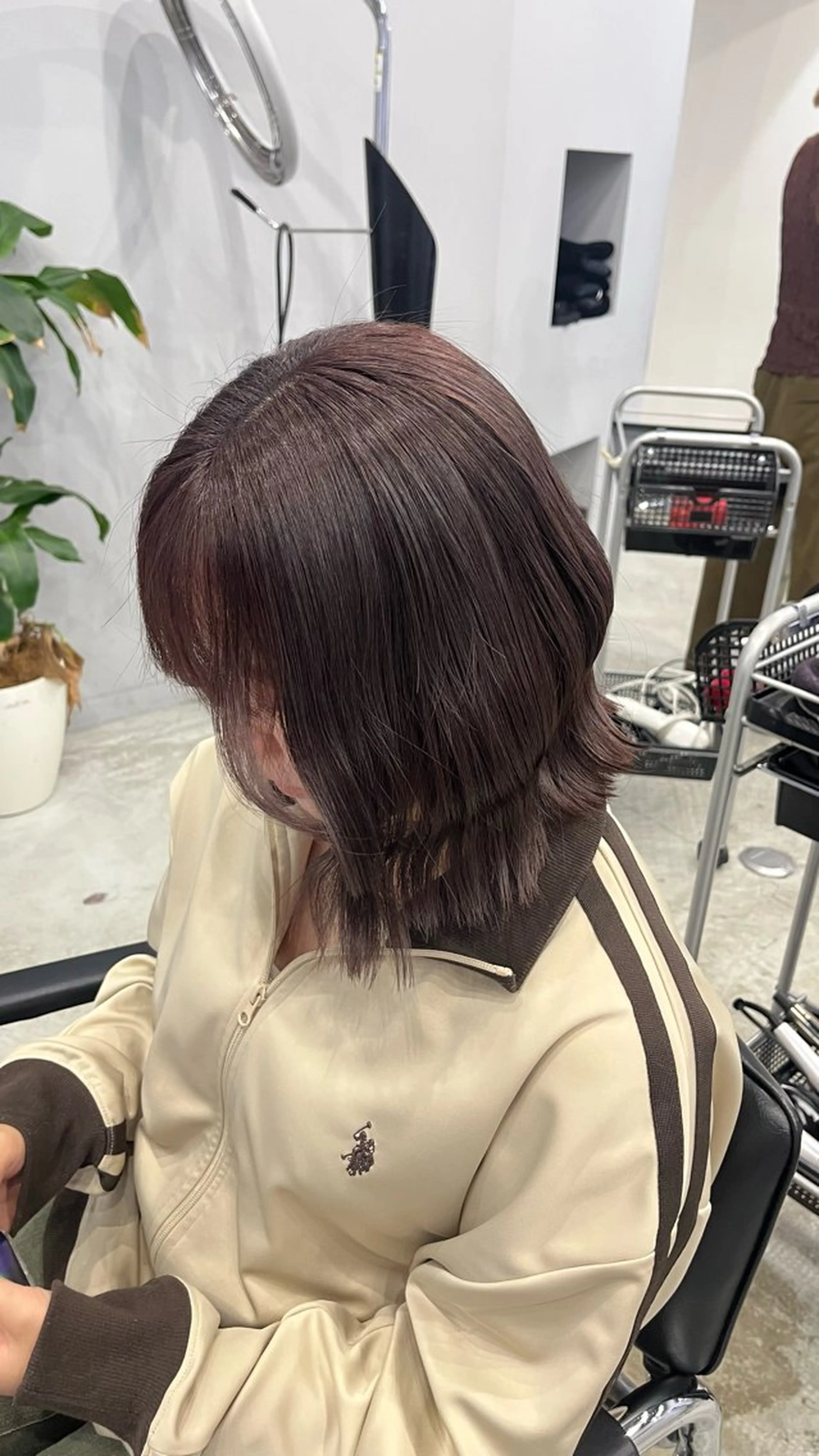 ワンカラーの写真