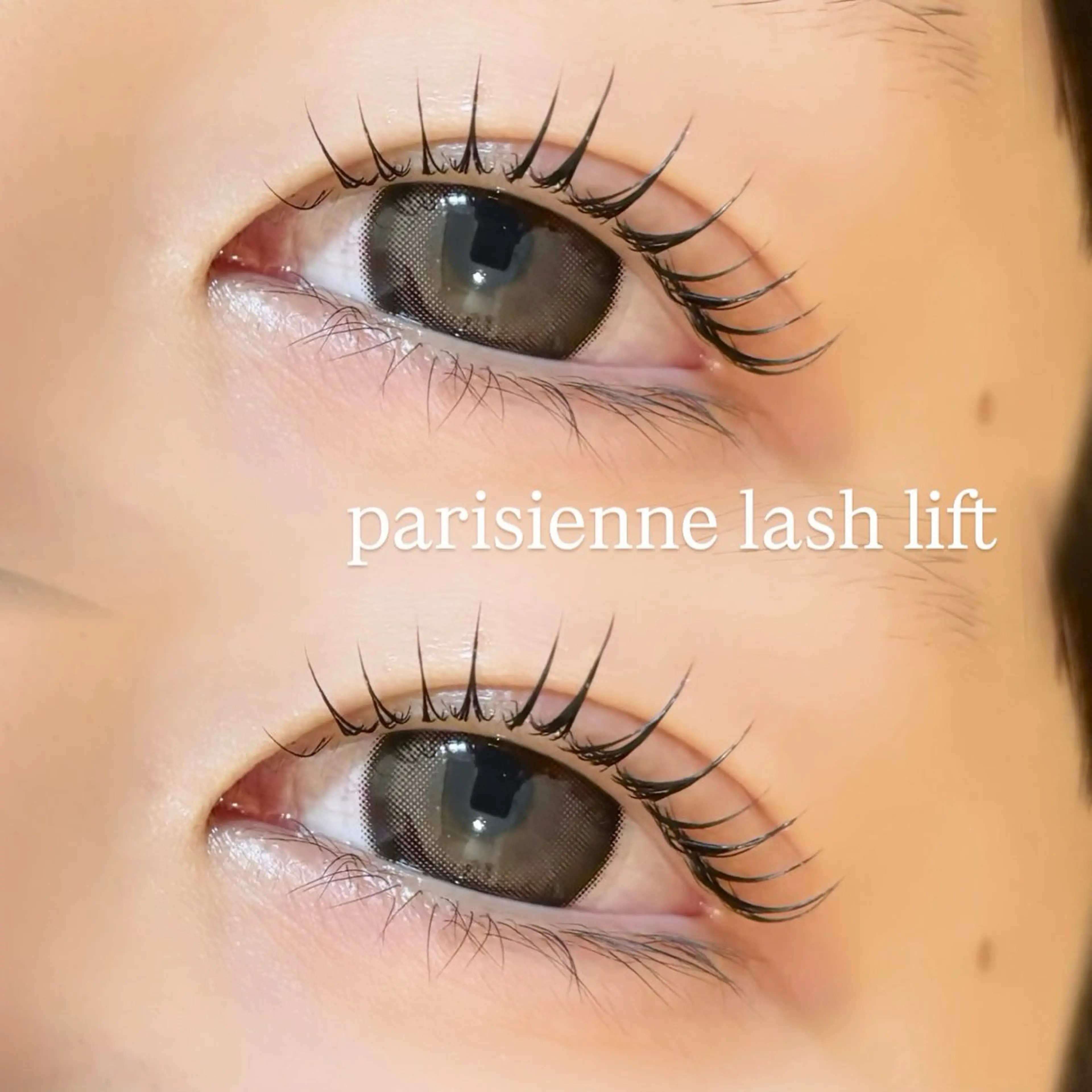 マツエク・マツパ マツパ 束感/LED/まつパ 🌼segawaのマツエク・マツパデザイン