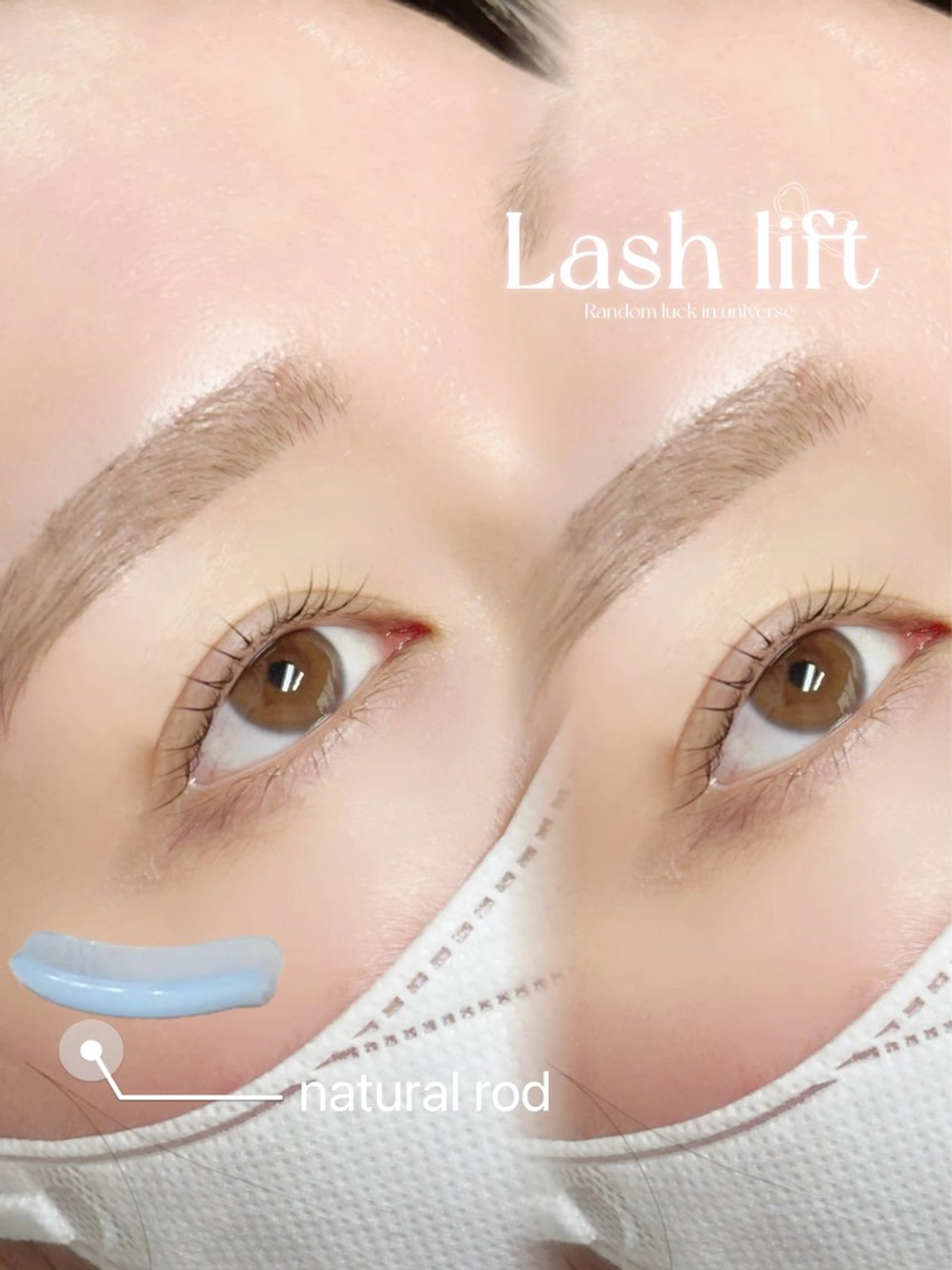 ãããšã¯ã»ããã ããã ððªðŠðð éåœé¢š/ææ/æµæ¯å¯¿ã®ãããšã¯ã»ããããã¶ã€ã³