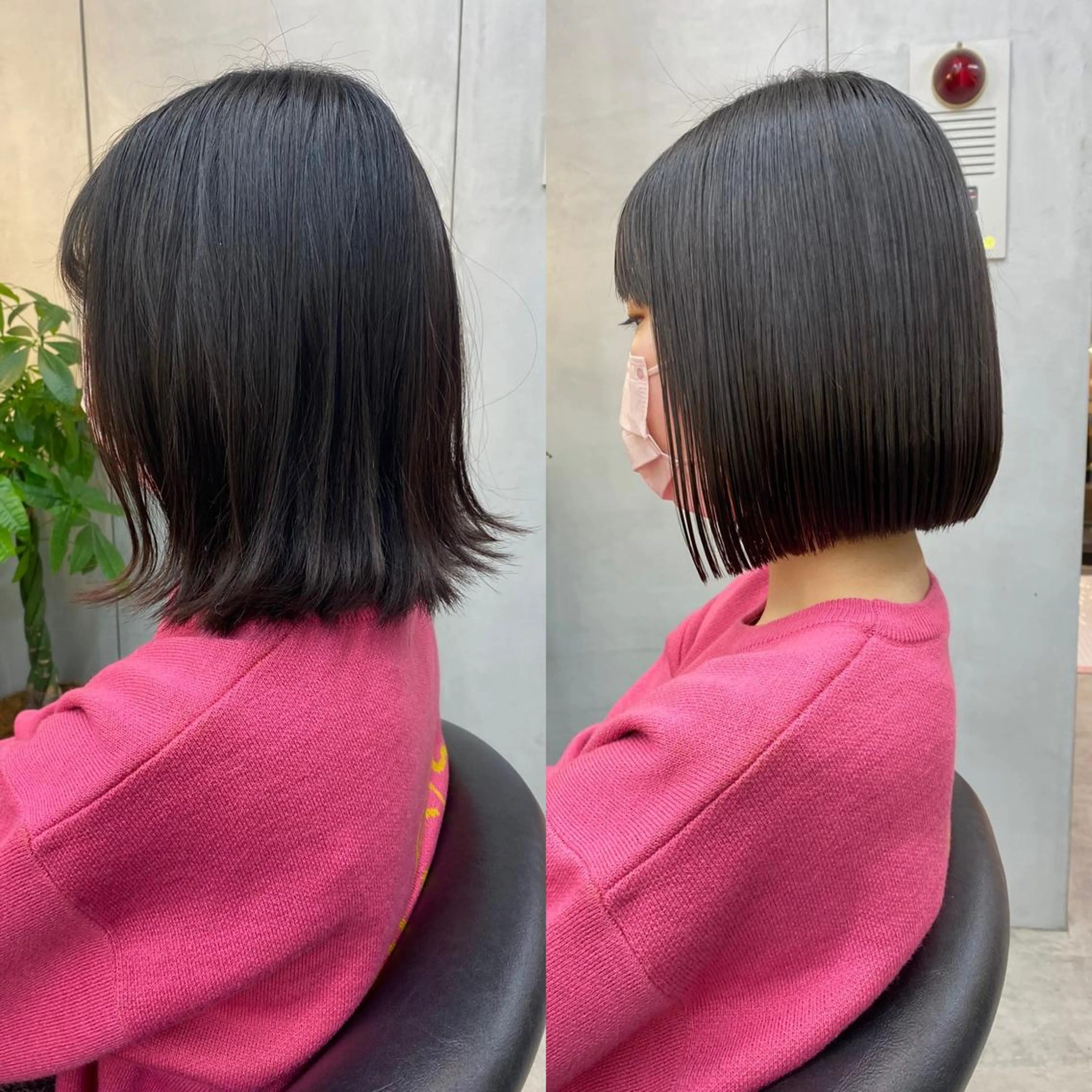 ショート カット 縮毛矯正 トリートメント 顔周り/ブリーチなし /縮毛矯正🫧伊勢のヘアスタイル