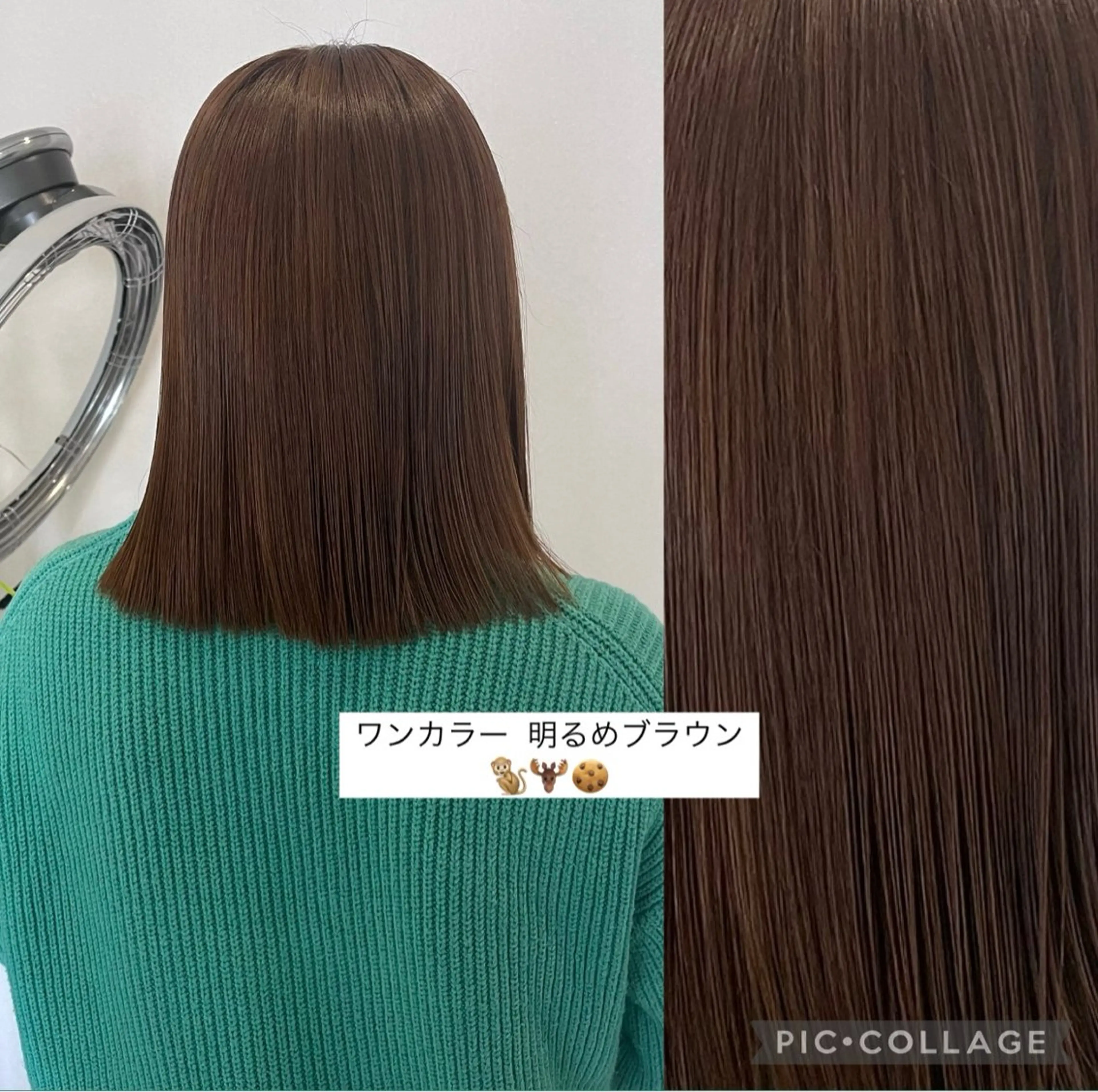 ミディアム カラー ブラウンカラー カット ヘアカラー c.key所属・🌺c.key /スタイリスト/内多のヘアスタイル