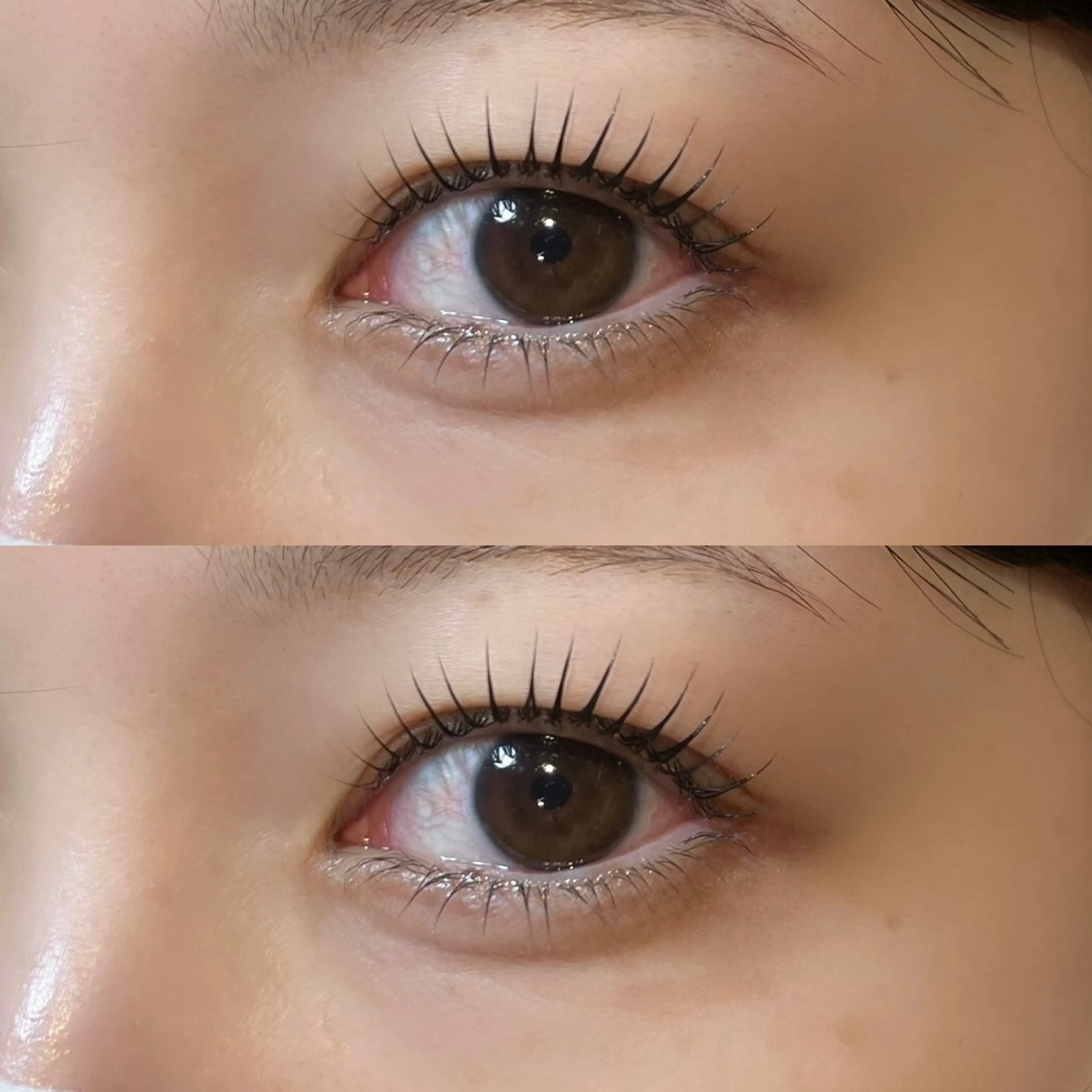 マツエク・マツパ 𝒆𝒊𝒈𝒉𝒕 杏花のマツエク・マツパデザイン