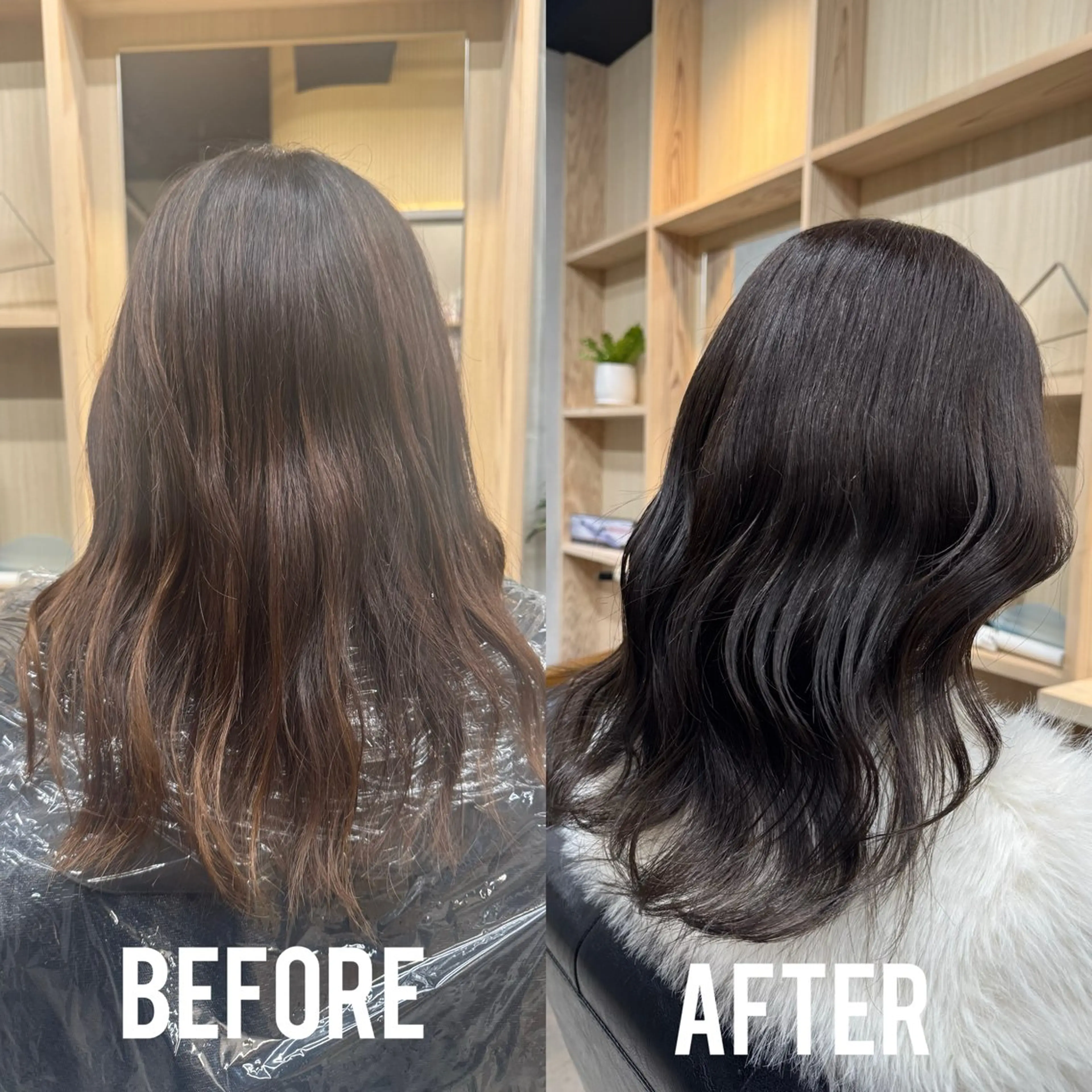 ミディアム カラー ヘアアレンジ アッシュ アッシュグレー アッシュグレージュ グレージュ ヘアカラー TOA／ 福岡JIL BLANのヘアスタイル