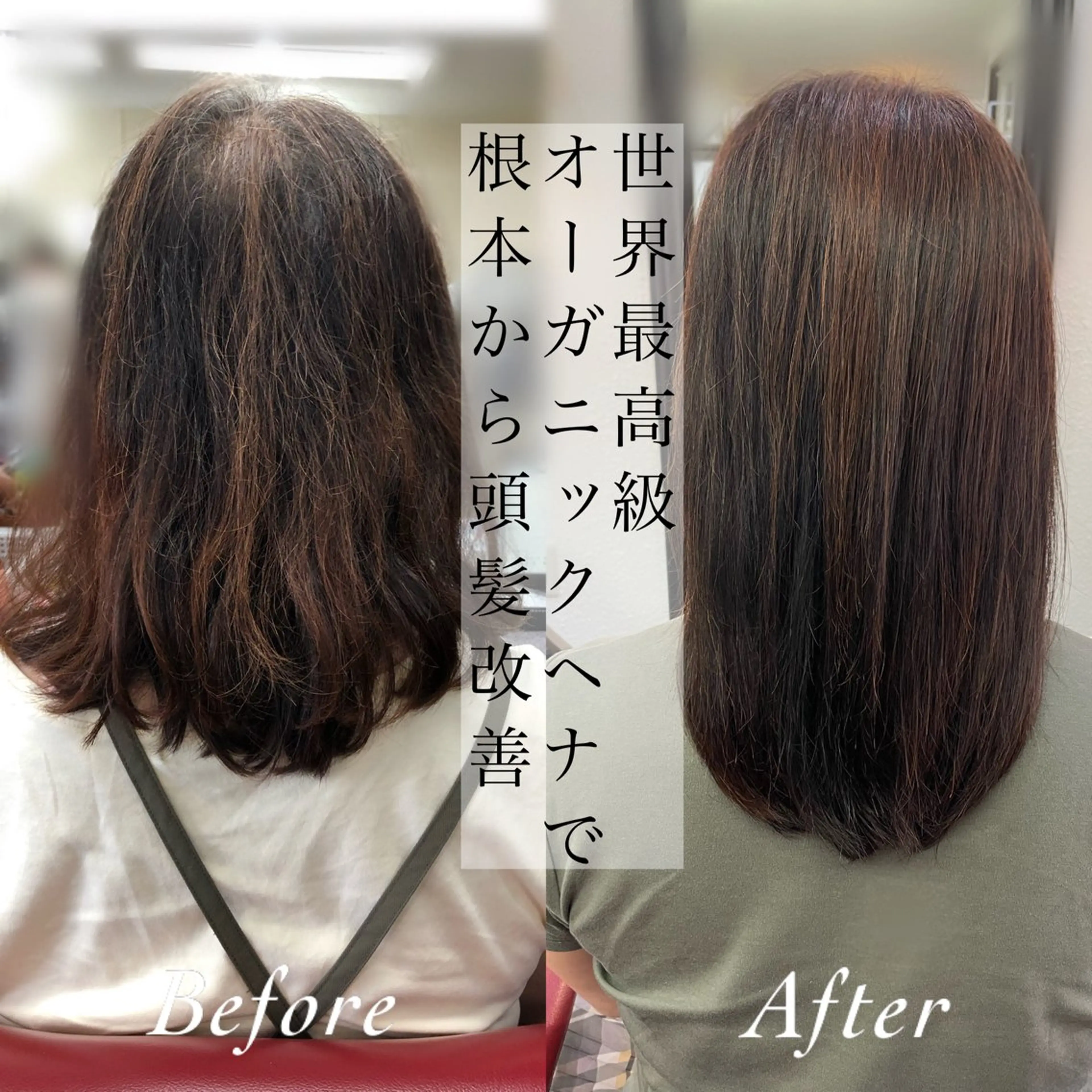 【傷めずに白髪染めしたい方にオススメ】　似合わせカット＋高級オーガニックヘナ🌿の写真