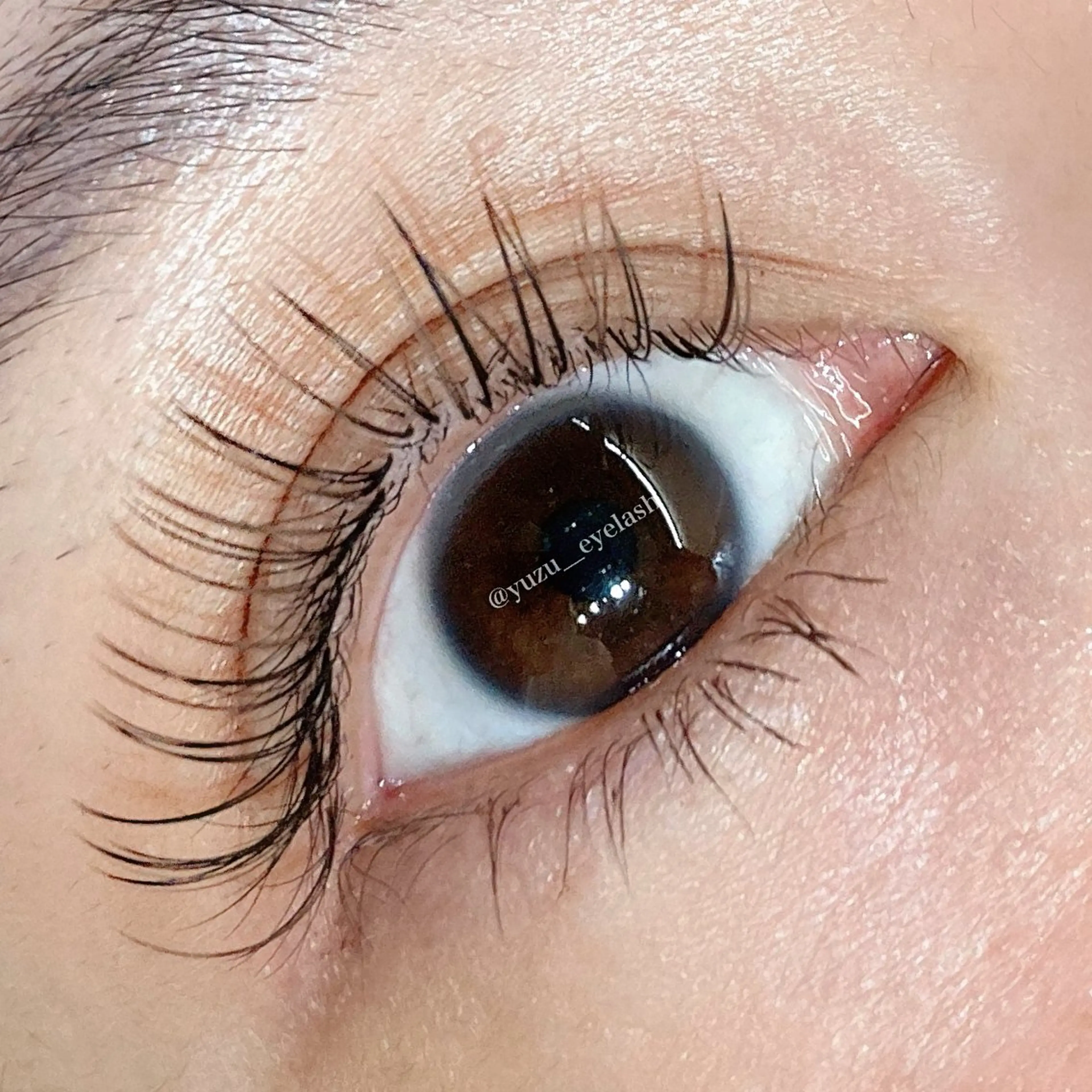 数名限定🐣【Wフラット120束（240本）¥8800】オフ別550円/写真okな方📷カラー別+¥1100の写真