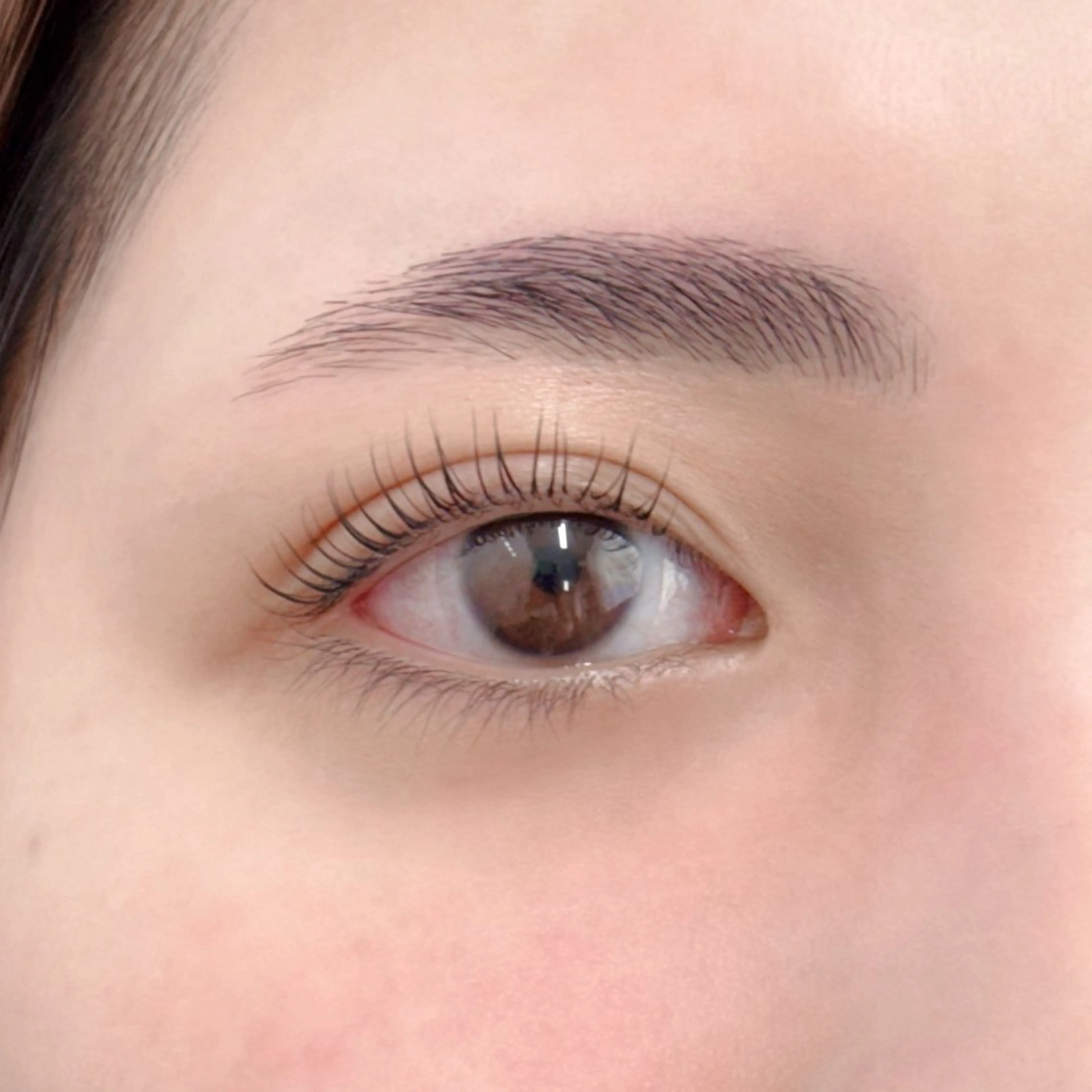 🌷まつ毛パーマ＆美眉スタイリング🌷の写真