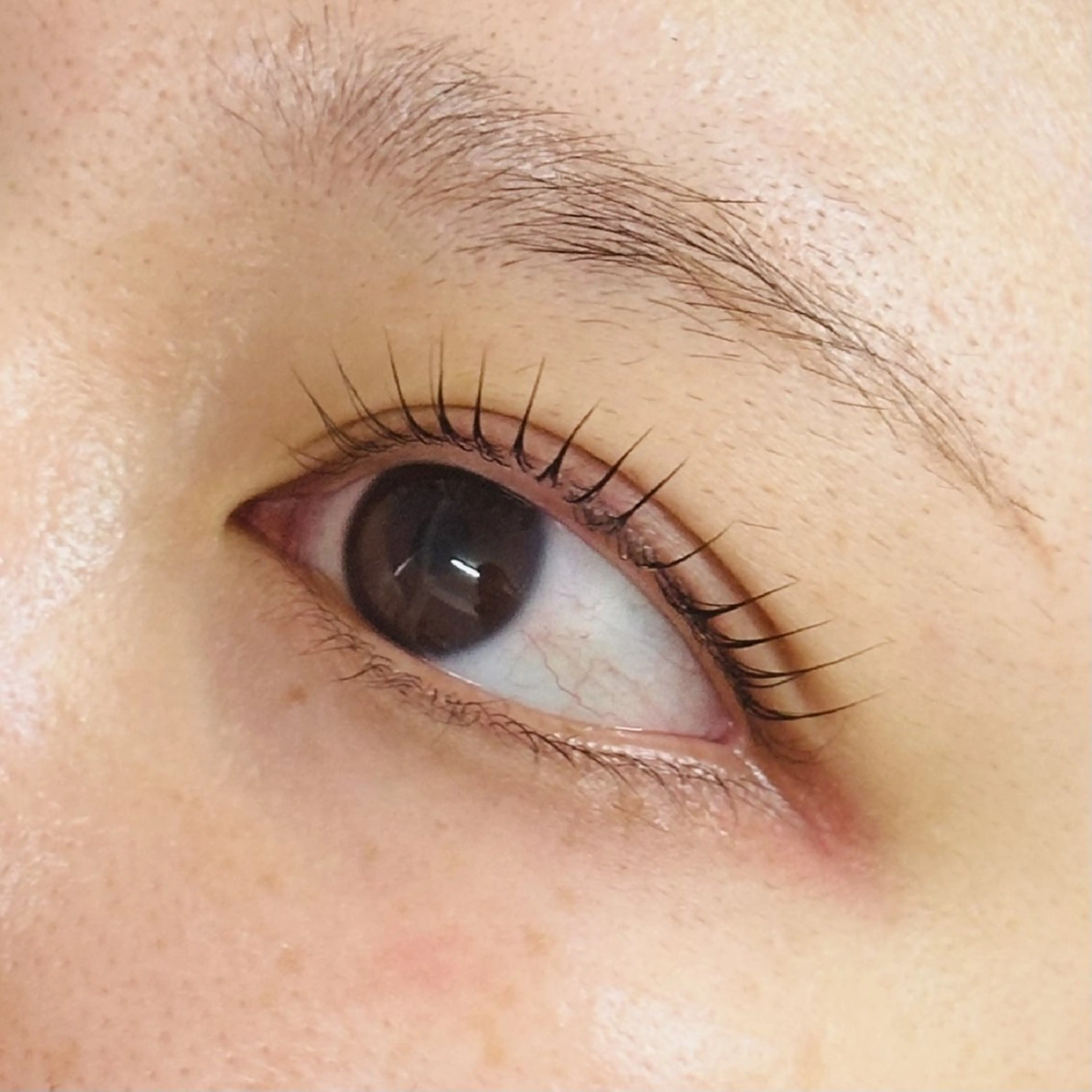 マツエク・マツパ マツパ on .のマツエク・マツパデザイン