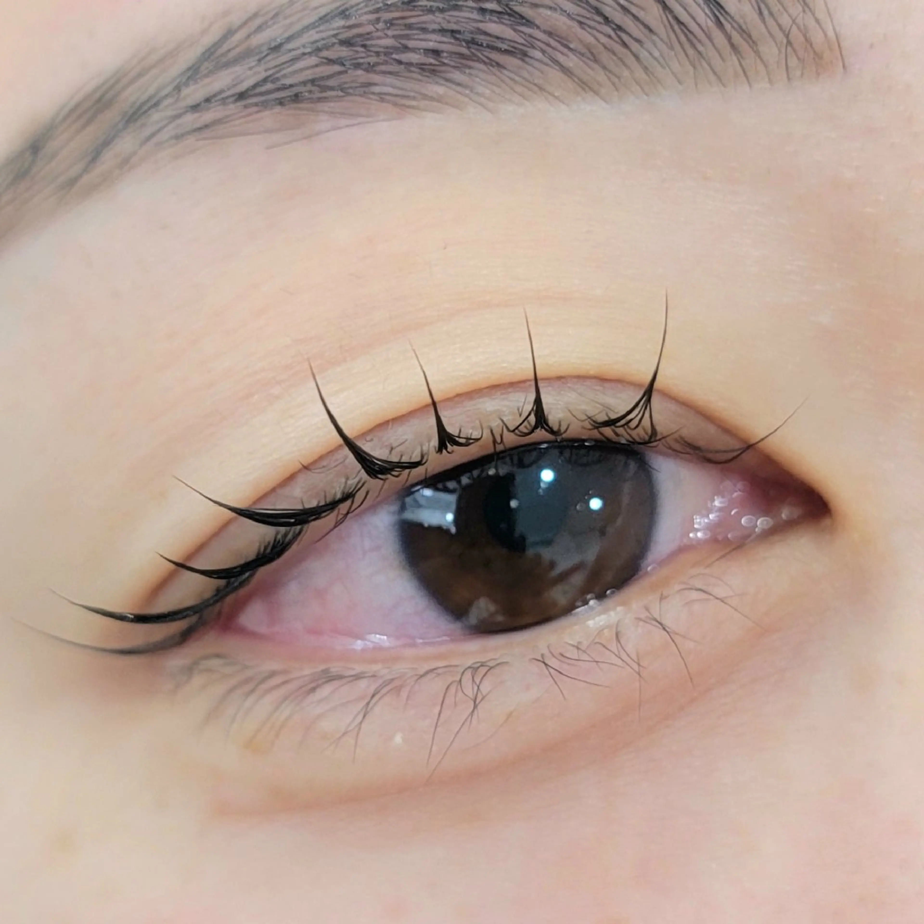 【ミニモ学割】まつぱ×眉WAX¥6980の写真