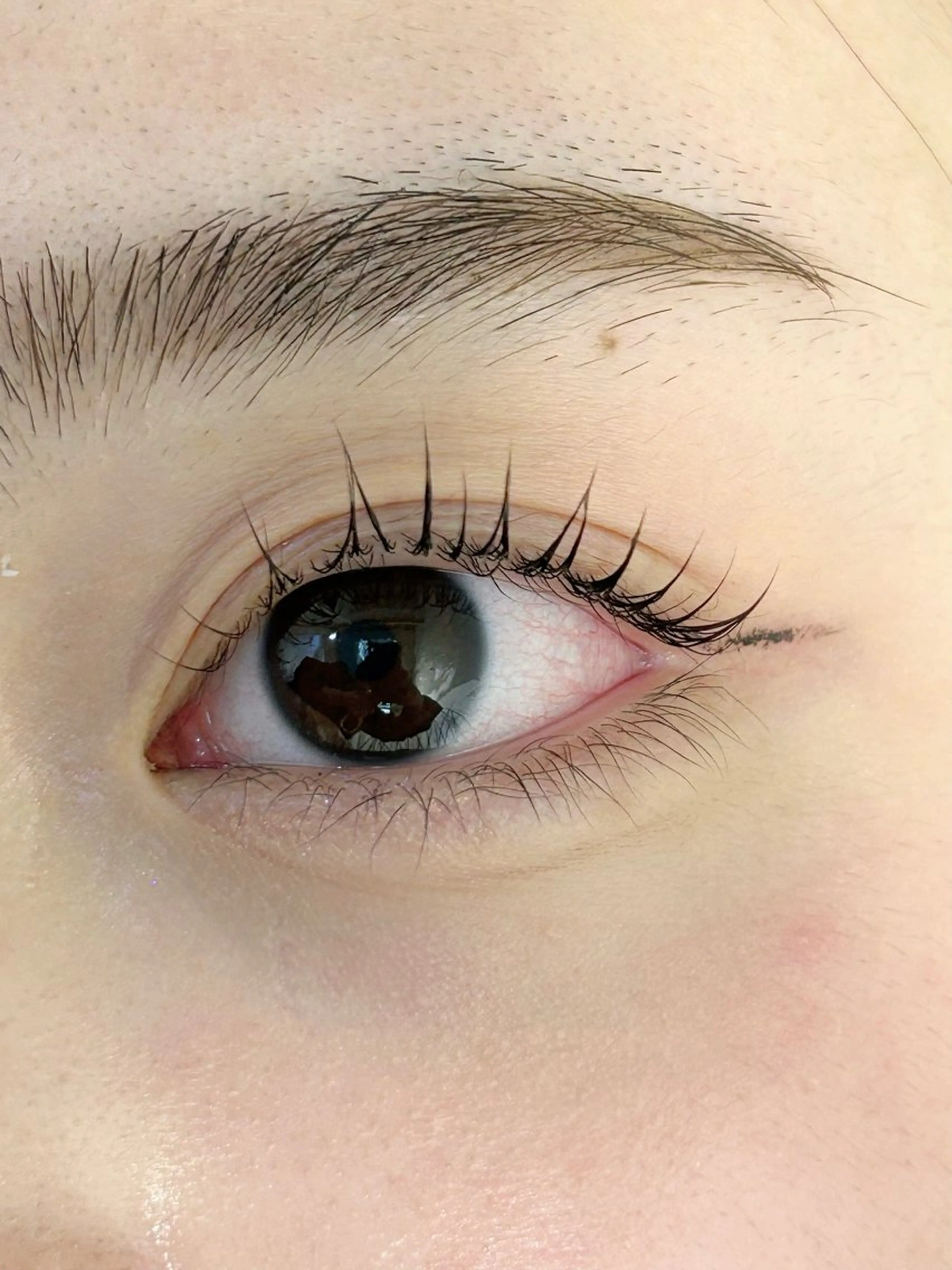 まつ毛パーマ練習モデル　90分　エクステオフなしの写真