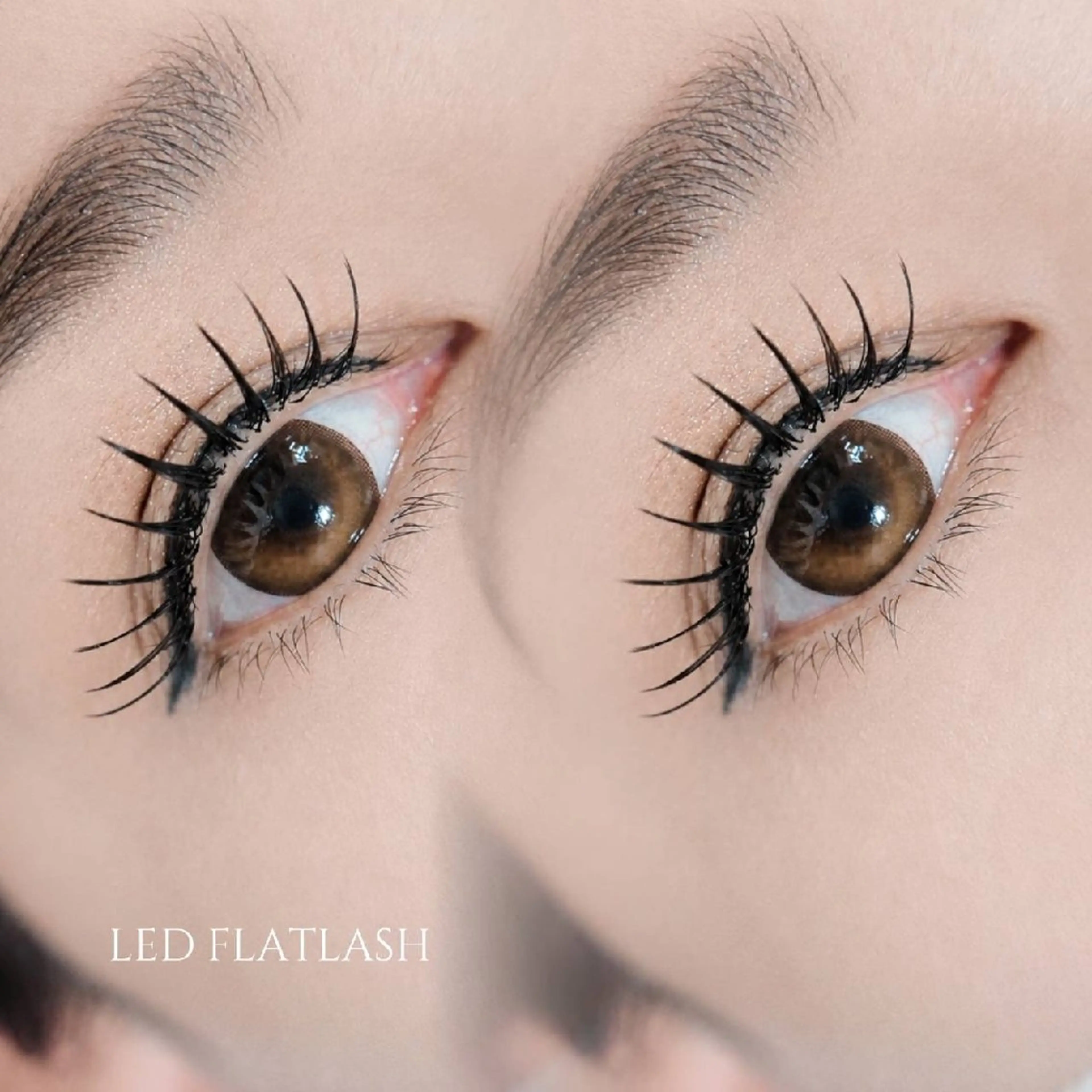 マツエク・マツパ フラットラッシュ Cia U. eyelashのマツエク・マツパデザイン